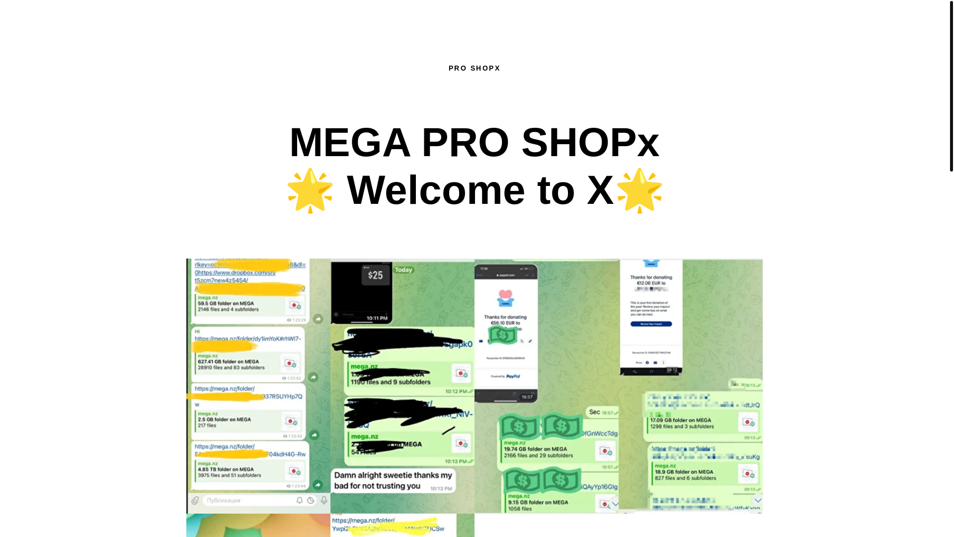 website screenshot of http://pactoof.tilda.ws/