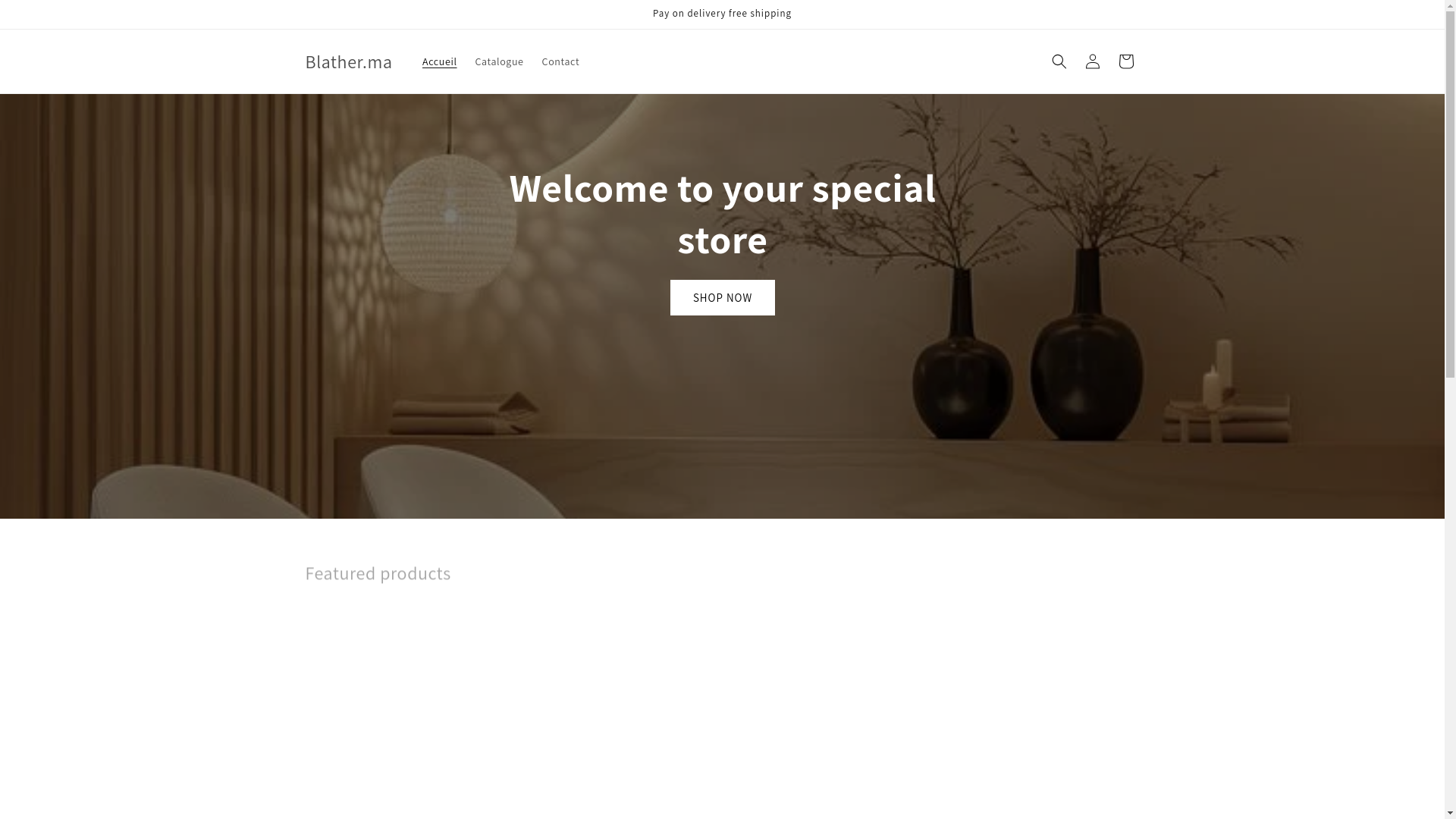 website screenshot of https://blaathershop.xyz/