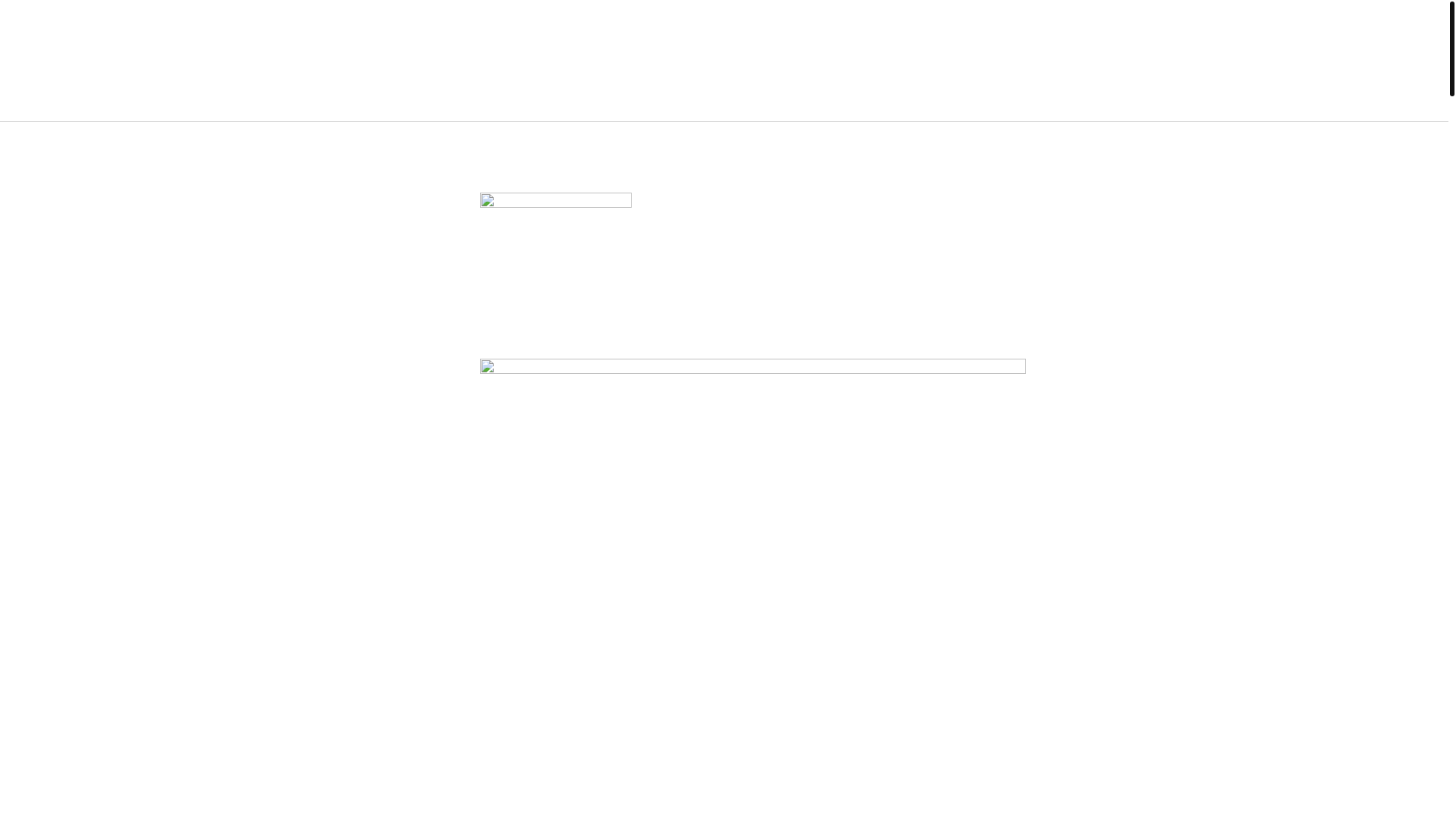 website screenshot of https://angiechung.org/