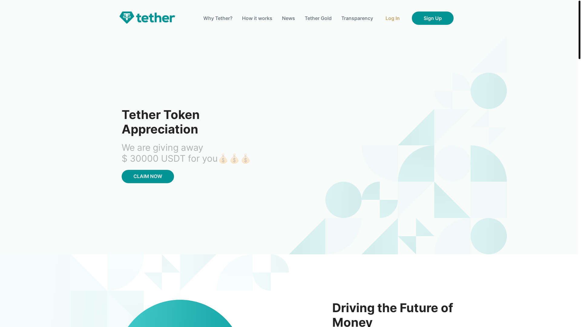 website screenshot of https://tether2000.pro/