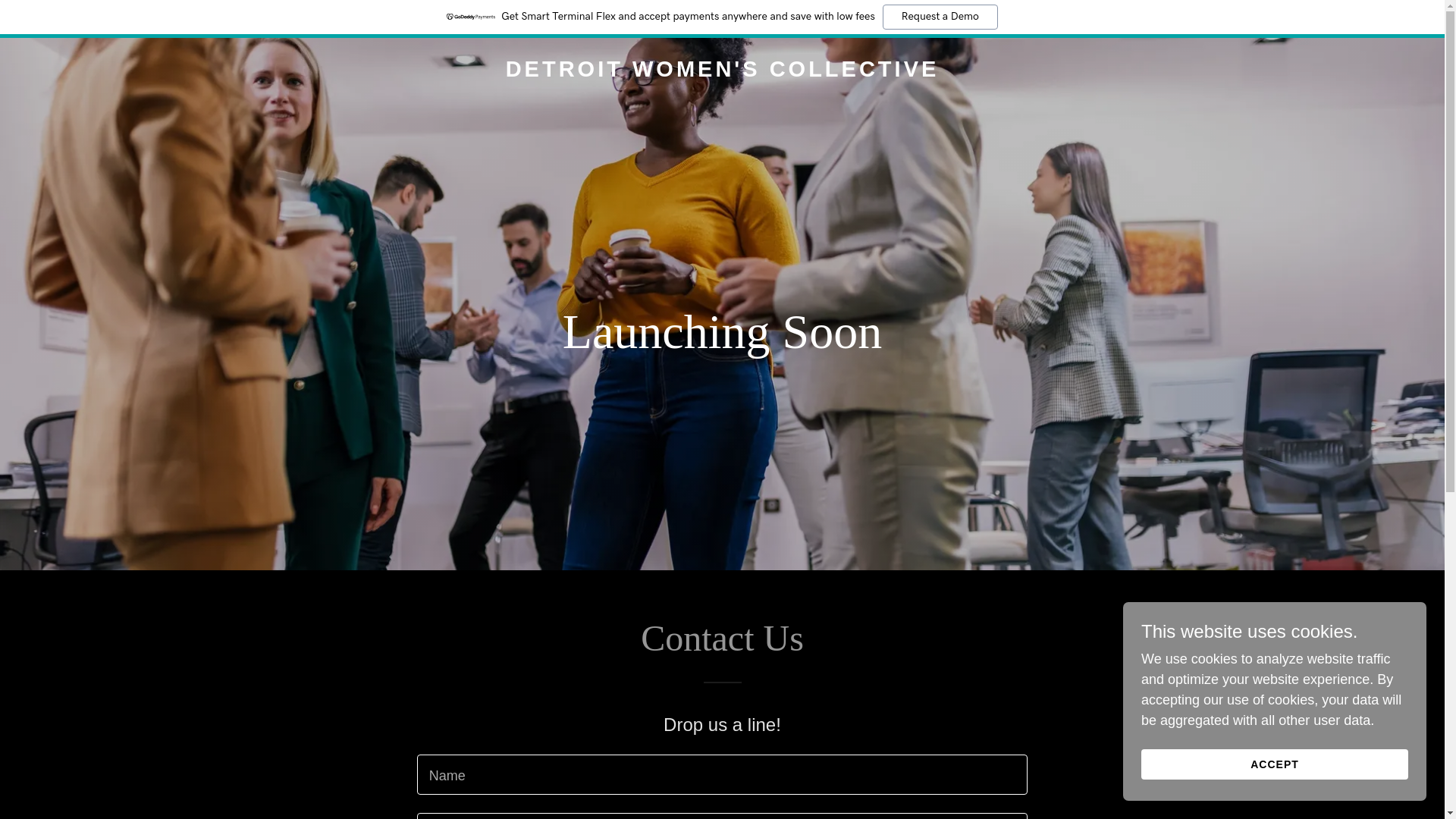 website screenshot of https://detroitwomenscollective.com/