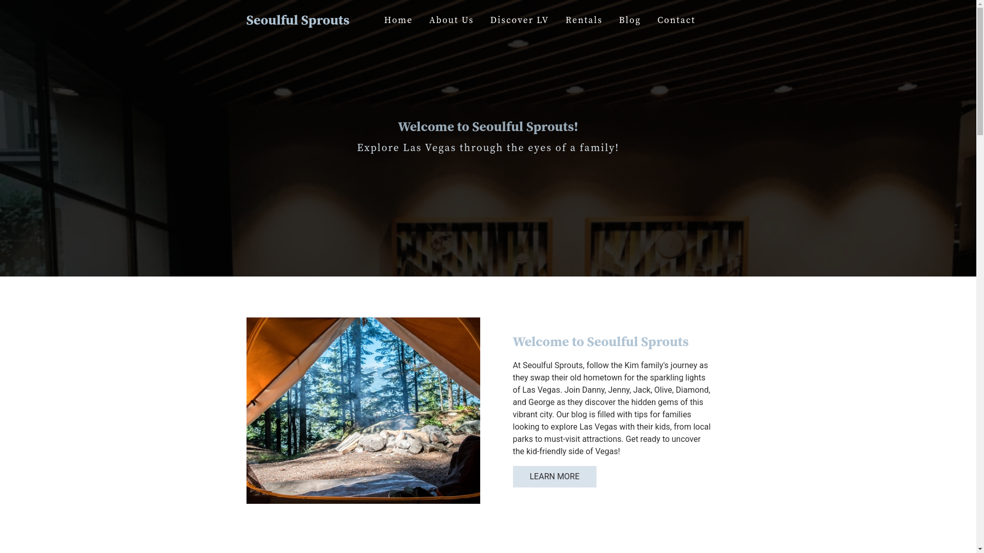 website screenshot of https://seoulfulsprouts.com/