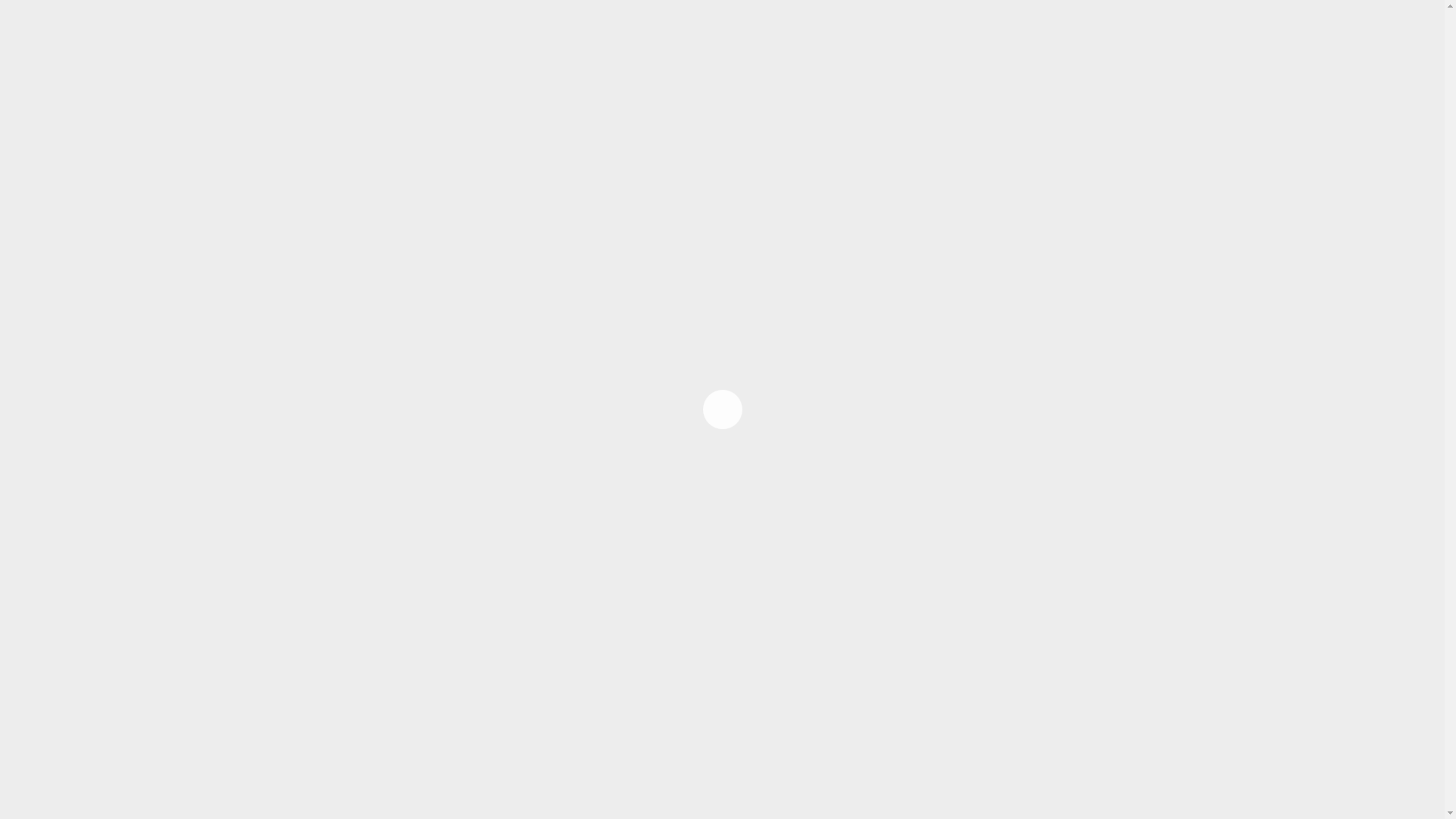 website screenshot of https://a1palabear.net/