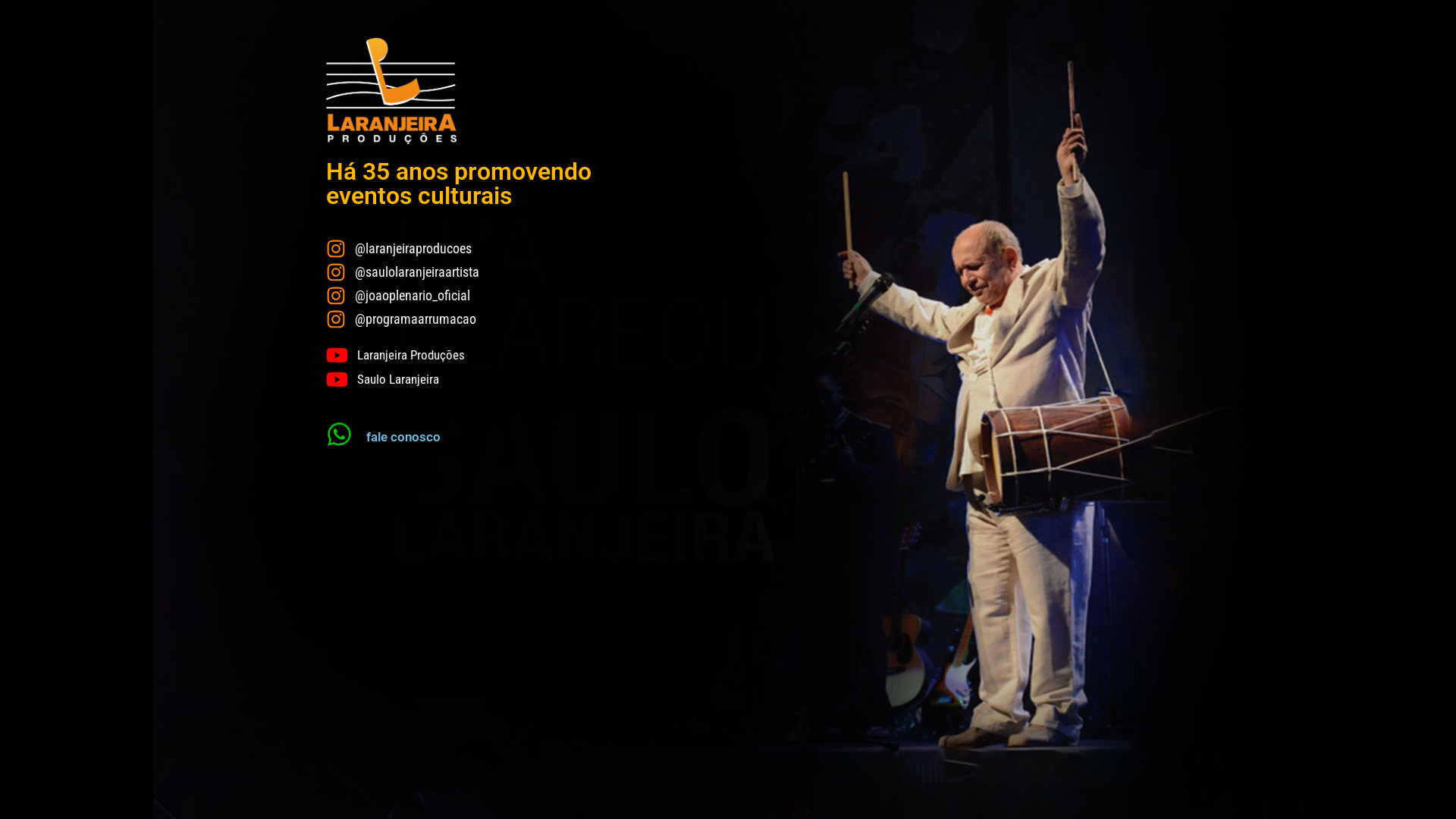 website screenshot of https://laranjeiraproducoes.com.br/