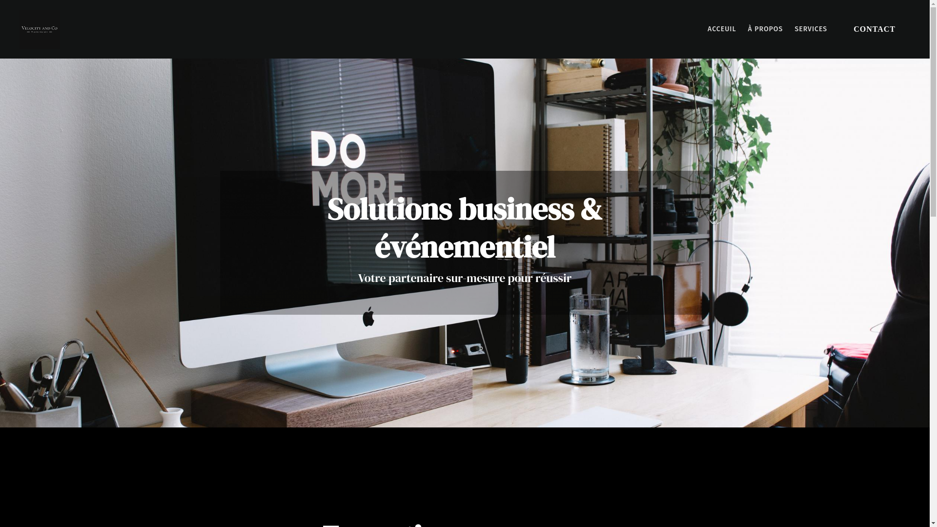 website screenshot of https://velocity-and-co.com/