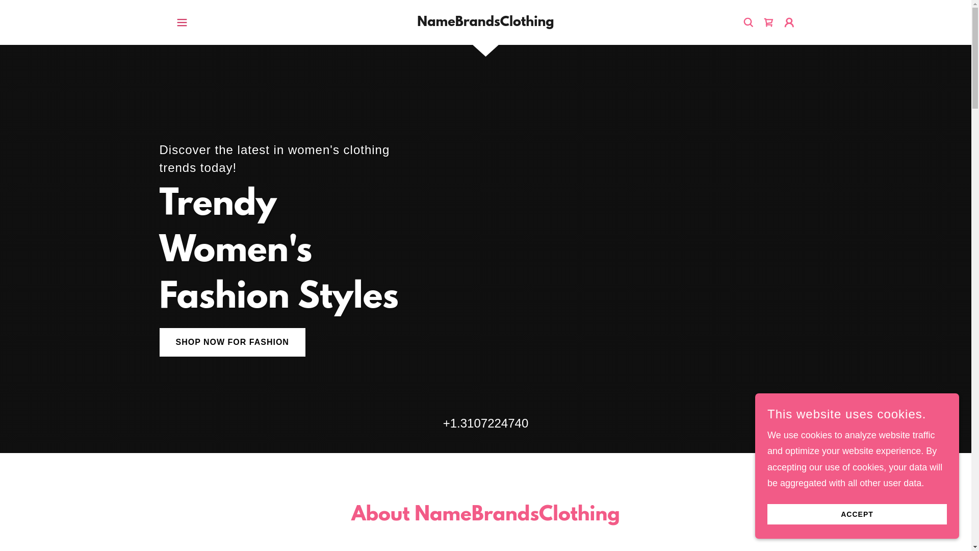 website screenshot of https://namebrandsclothing.com/