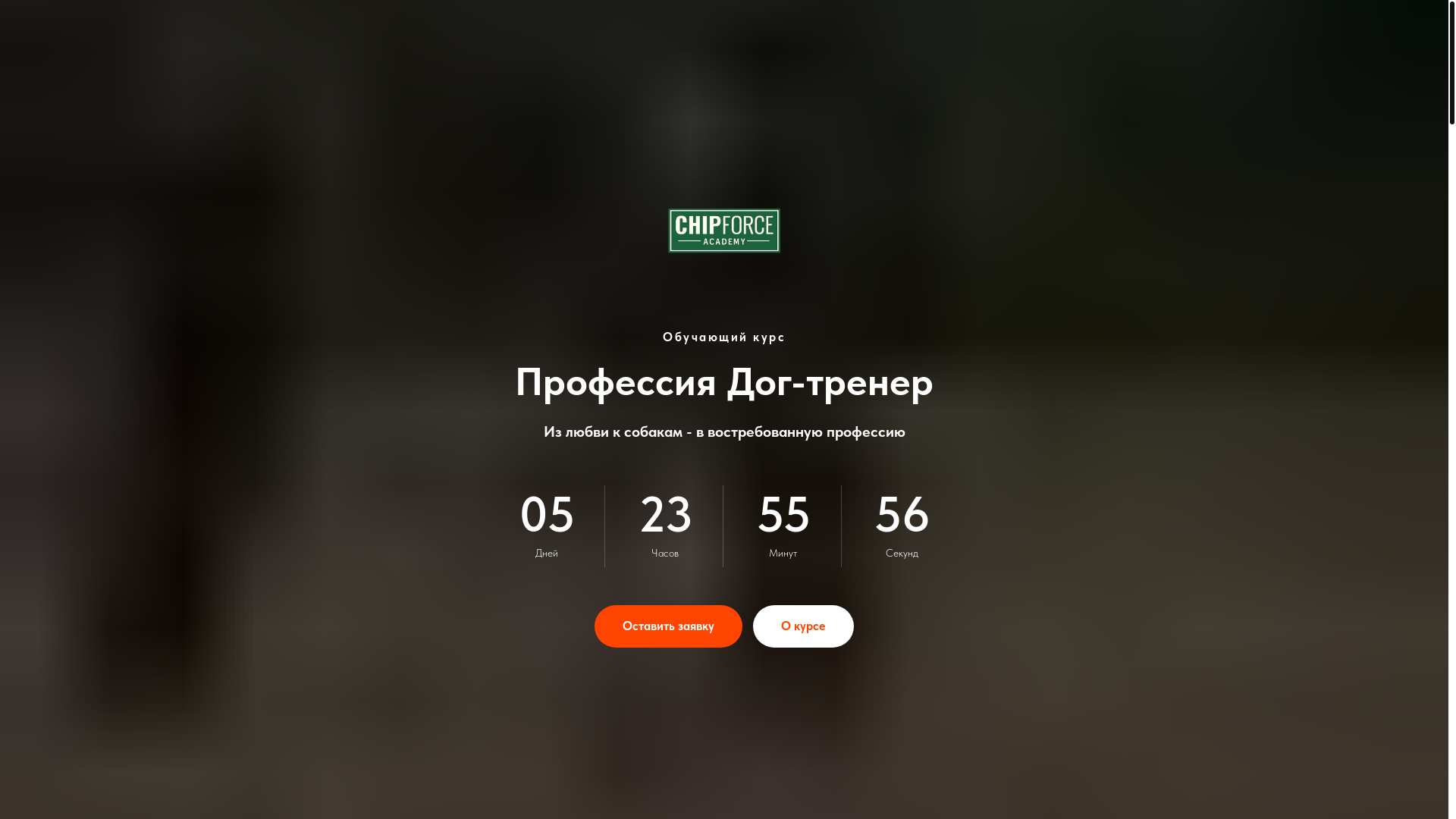 website screenshot of https://chipforce.kz/