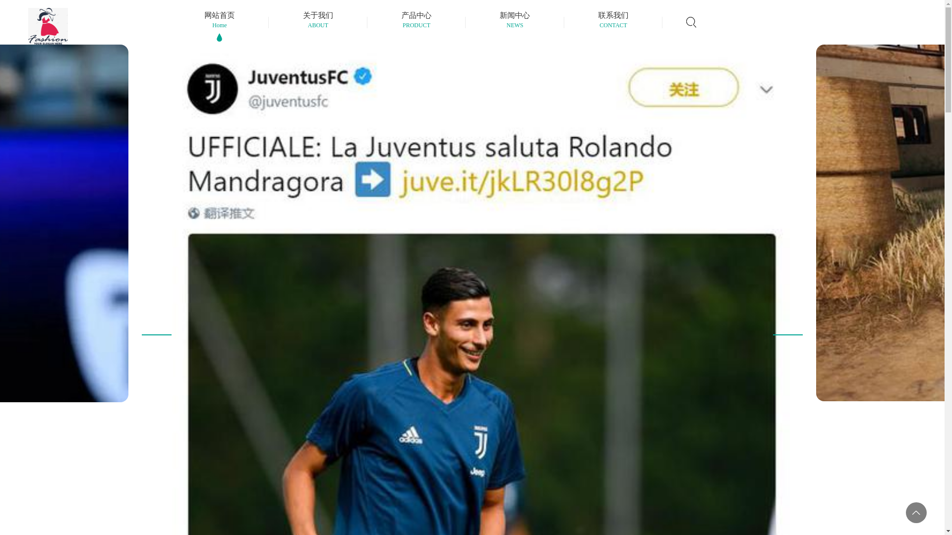 website screenshot of https://zh-int-hth.com/