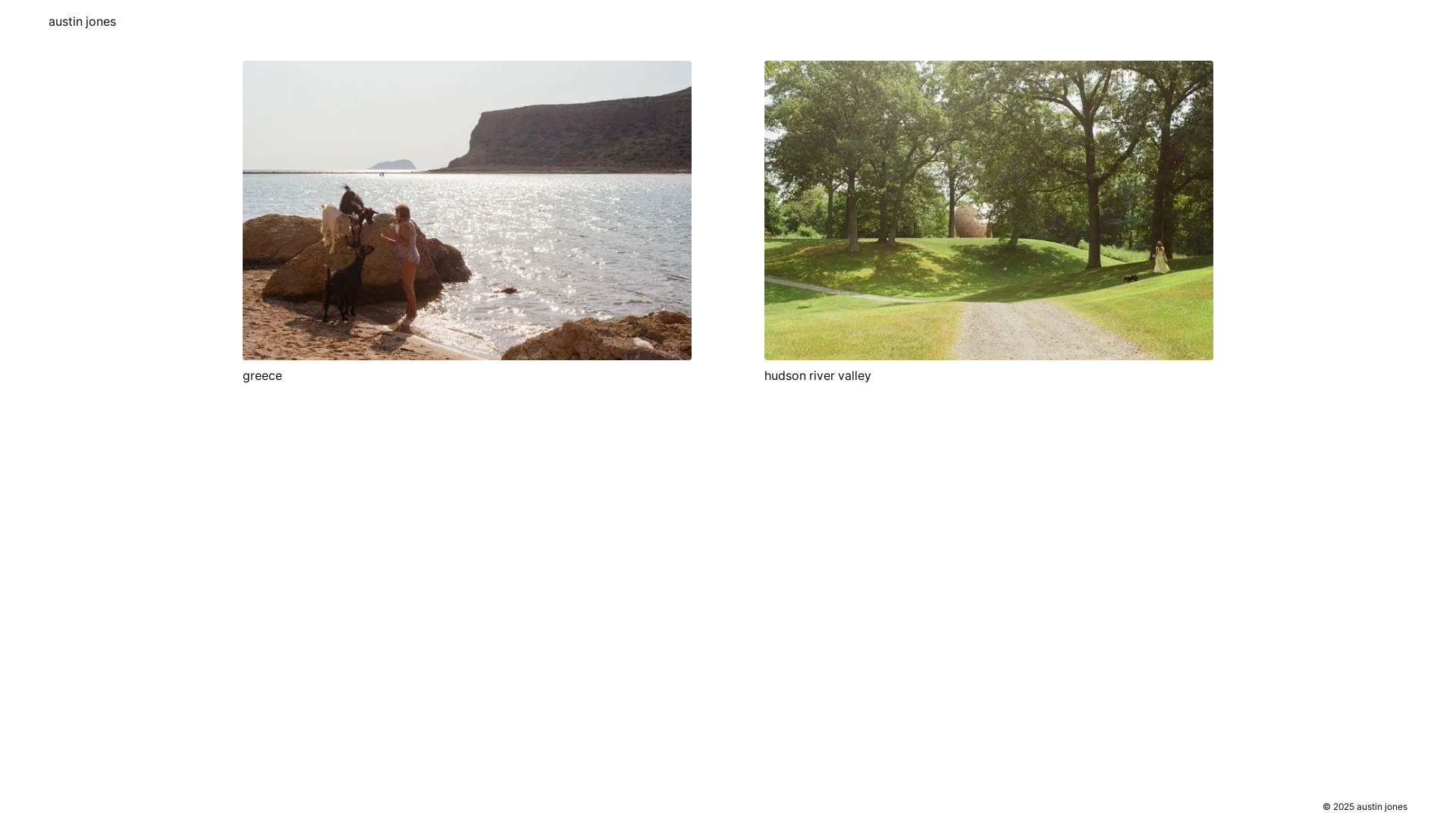 website screenshot of https://austin-hayashi-jones.com/