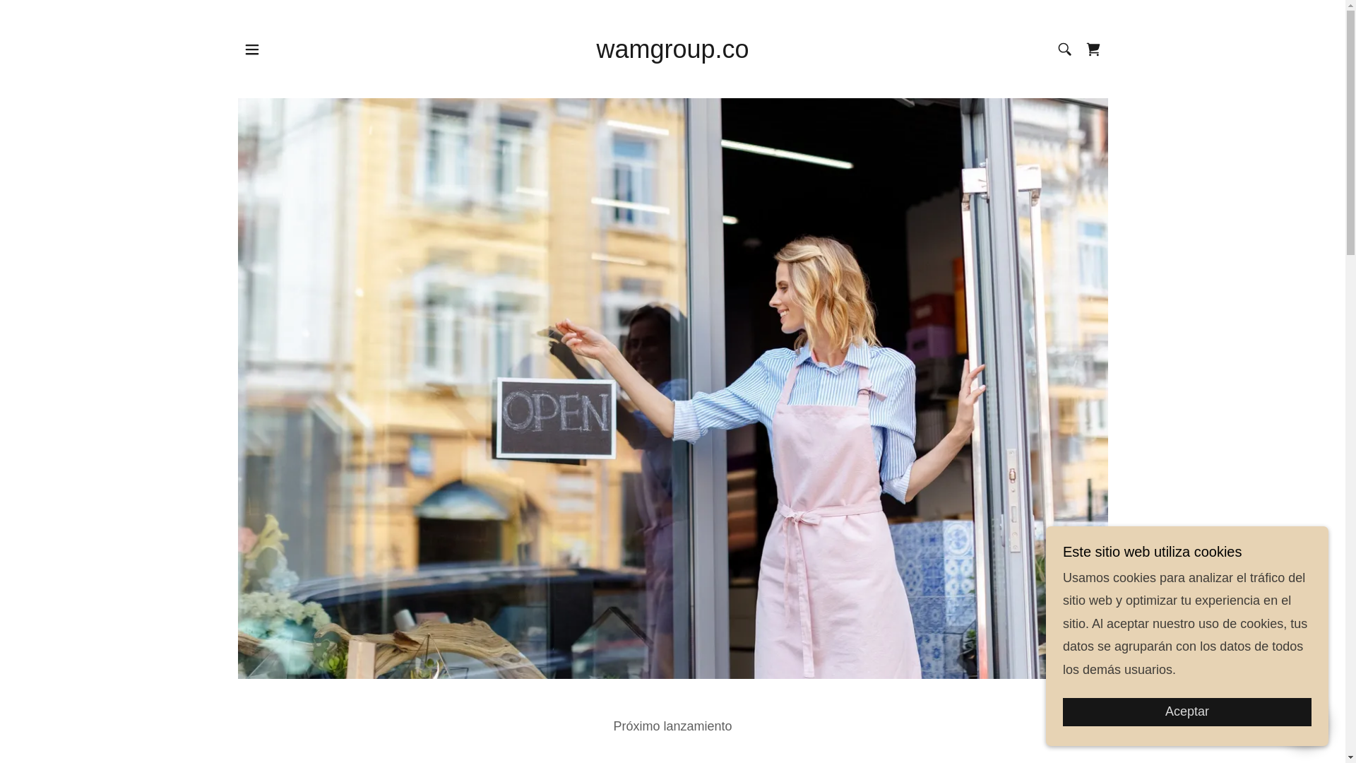 website screenshot of https://wamgroup.co/