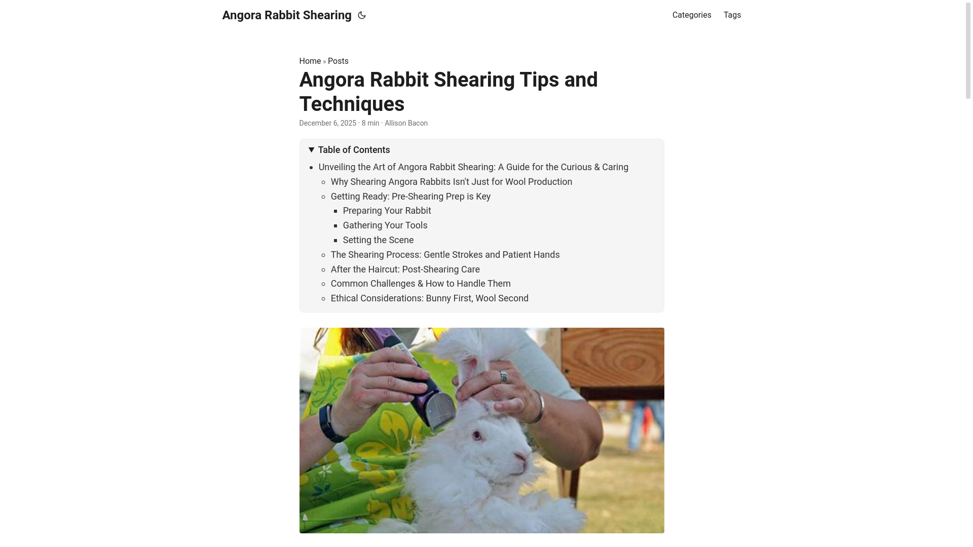 website screenshot of https://angorarabbitshearing.pages.dev/