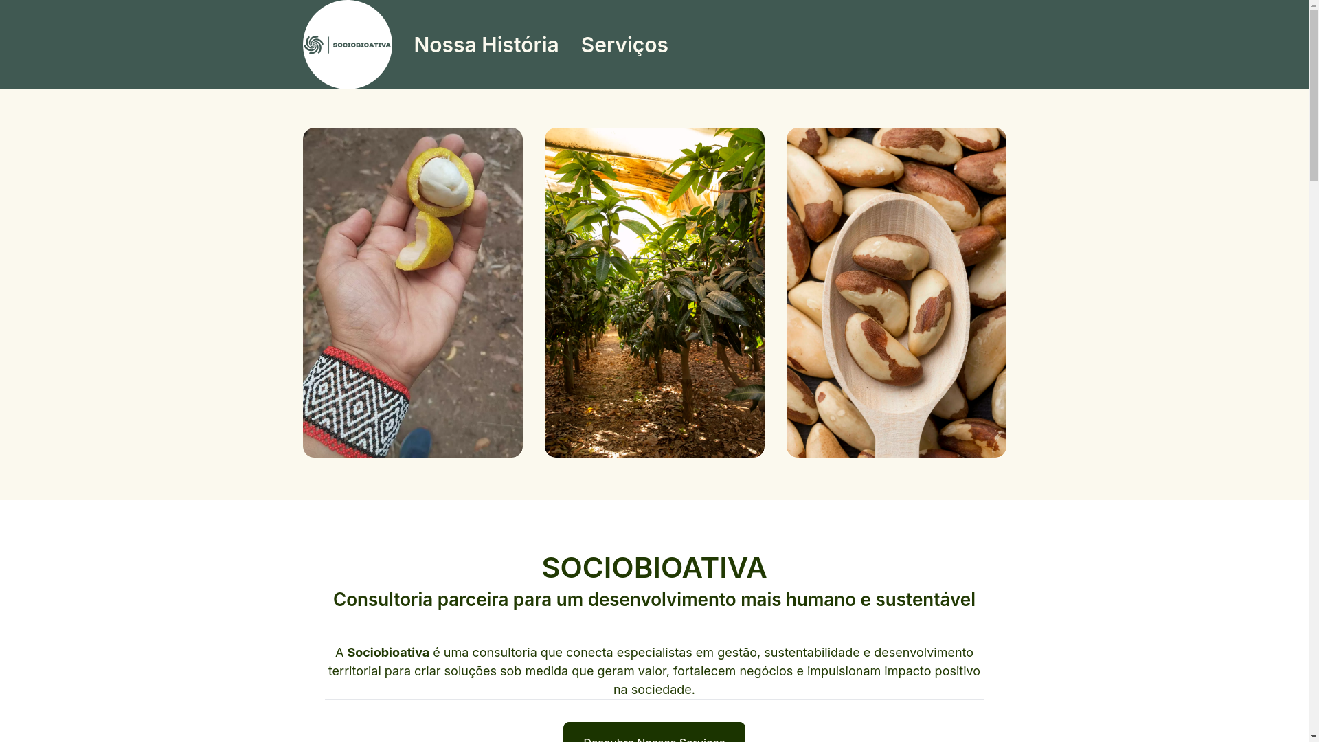 website screenshot of https://sociobioativa.com.br/