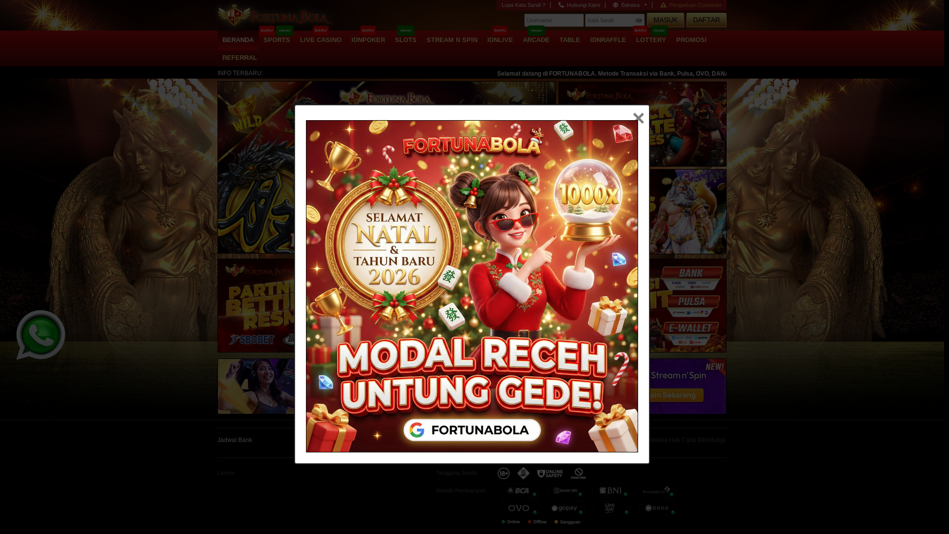 website screenshot of https://fortunabola9i.com/