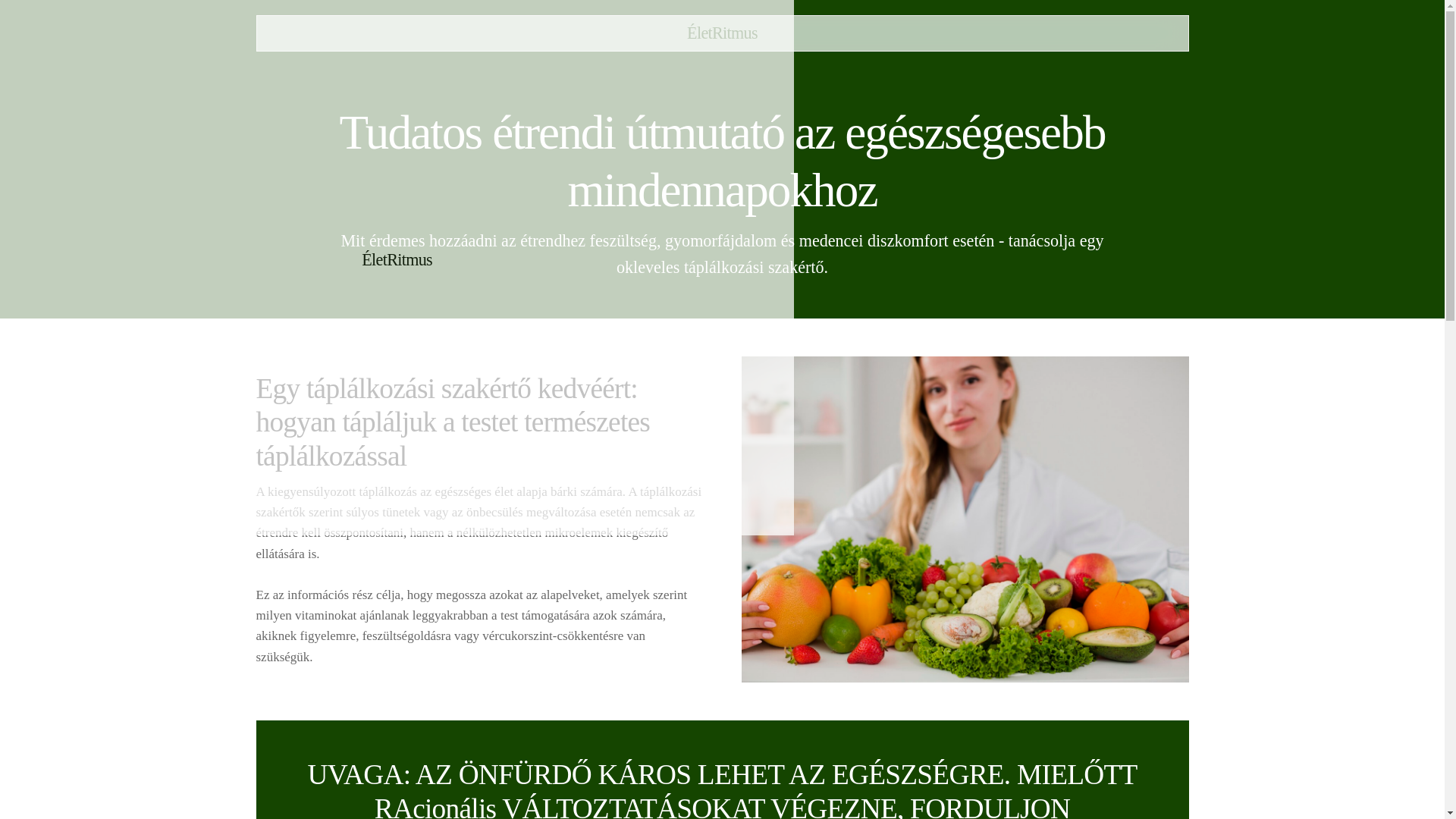website screenshot of https://eletritmusb.info/