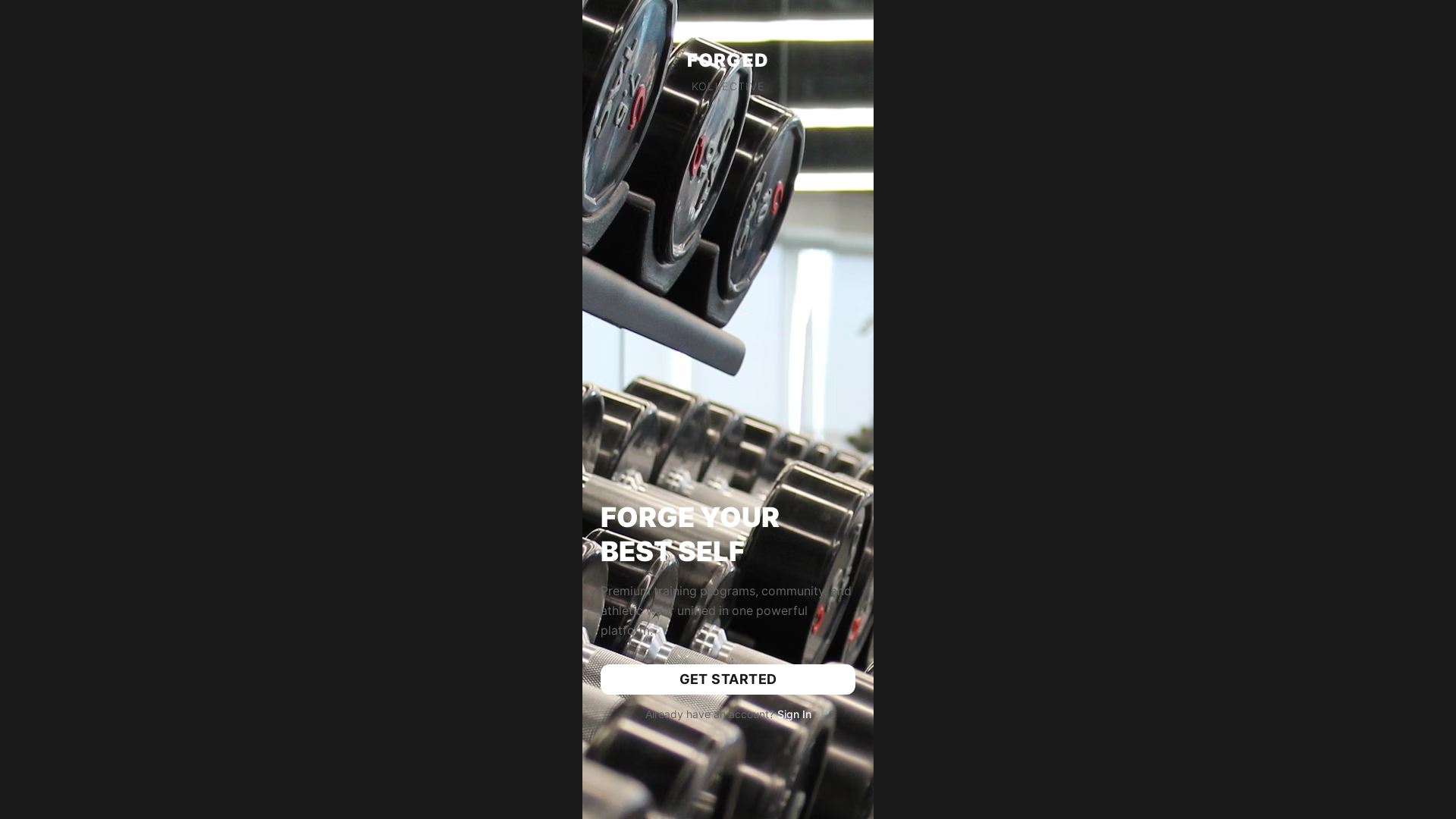 website screenshot of https://kollectiveforge.com/