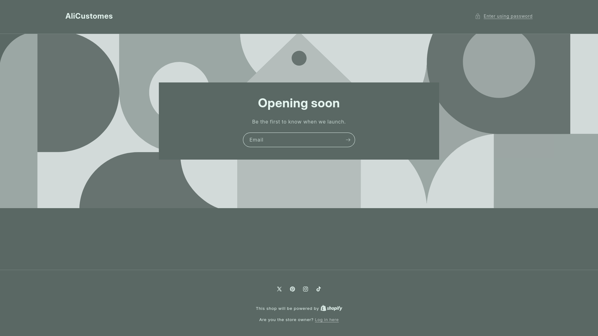 website screenshot of https://alicustomes.com/