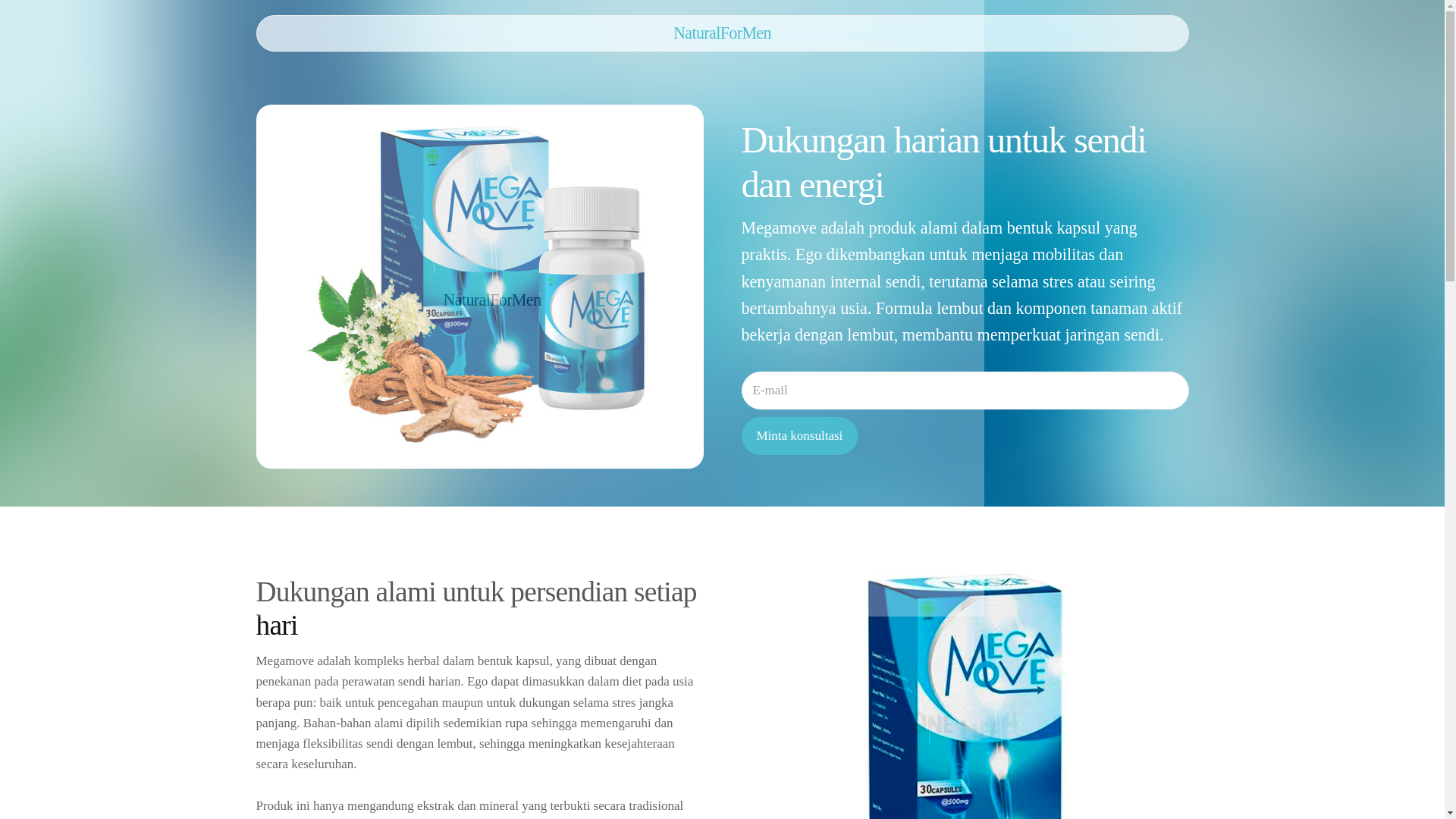 website screenshot of https://naturalformenb.info/