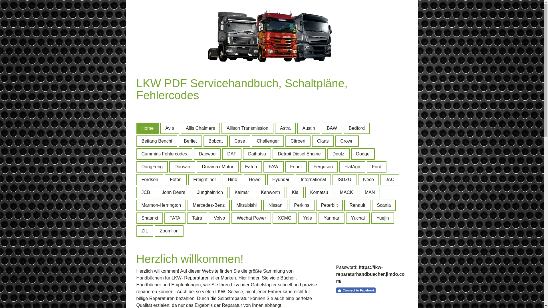 website screenshot of https://lkw-reparaturhandbuecher.com/