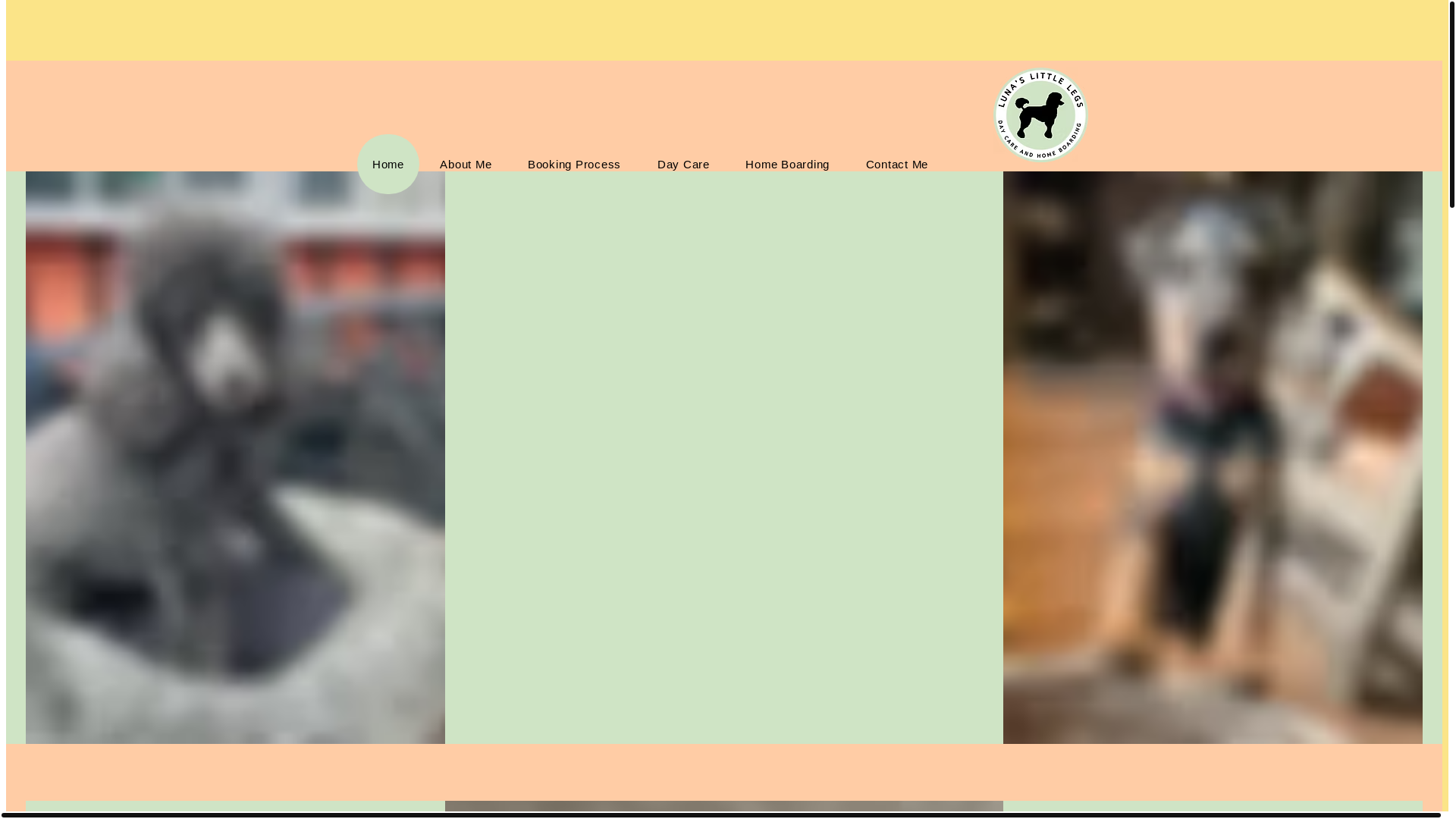 website screenshot of https://lunaslittlelegs.co.uk/