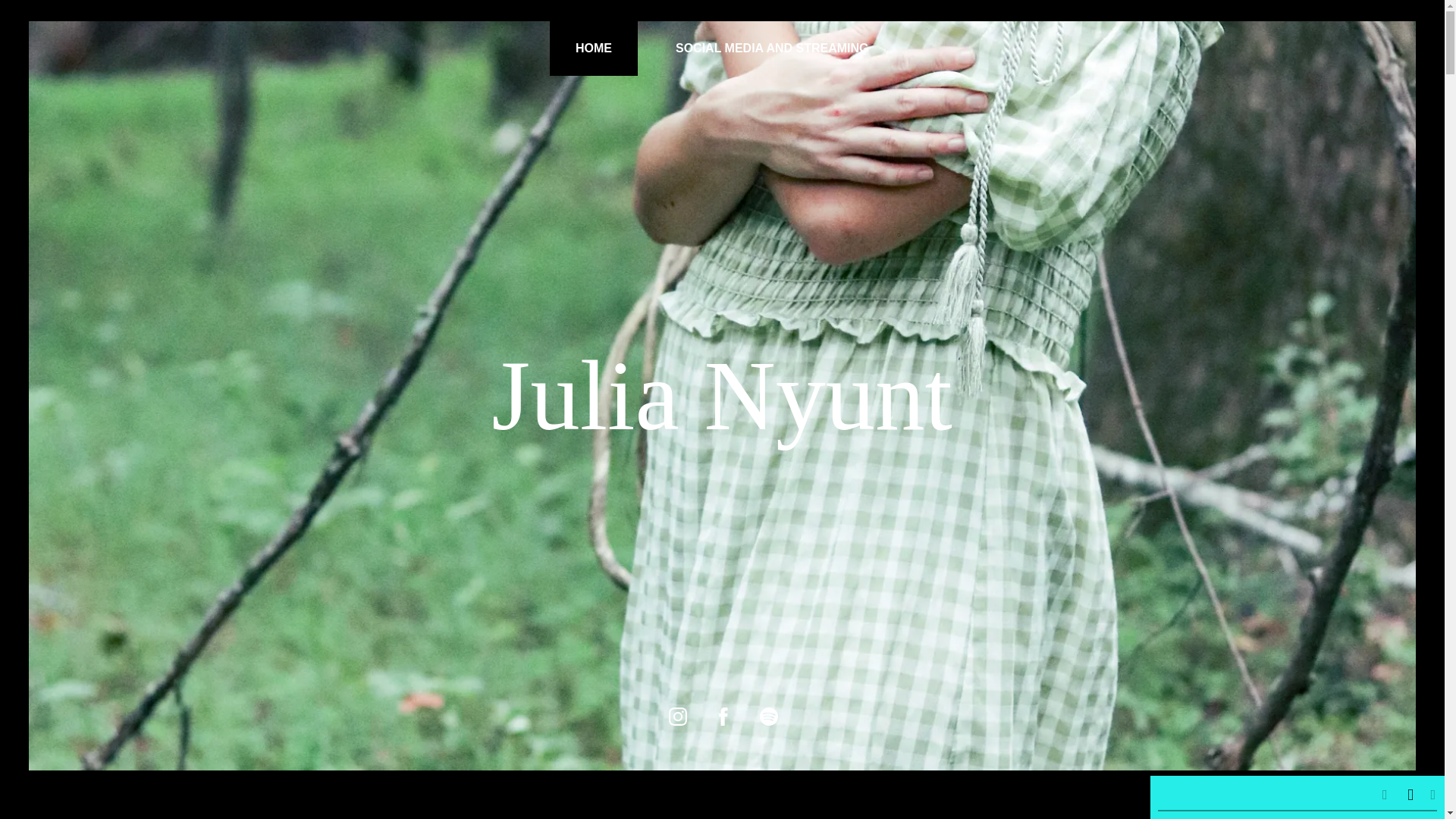 website screenshot of https://thejuliaverse.com/