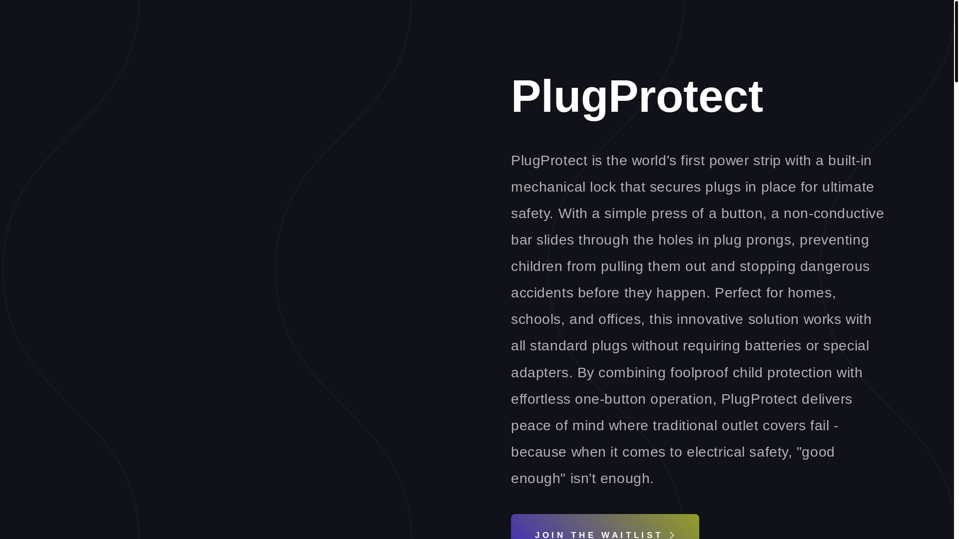 website screenshot of https://plugprotect.store/