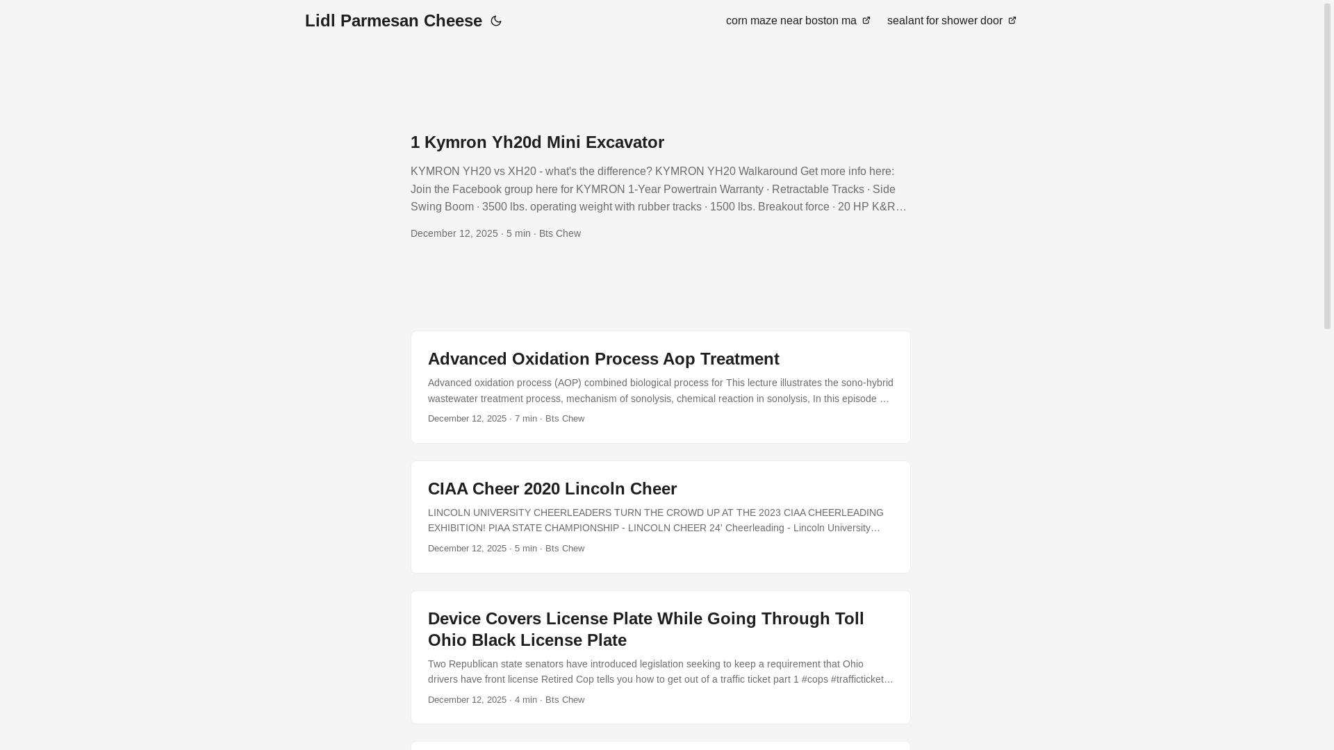 website screenshot of https://lidlparmesancheese.pages.dev/