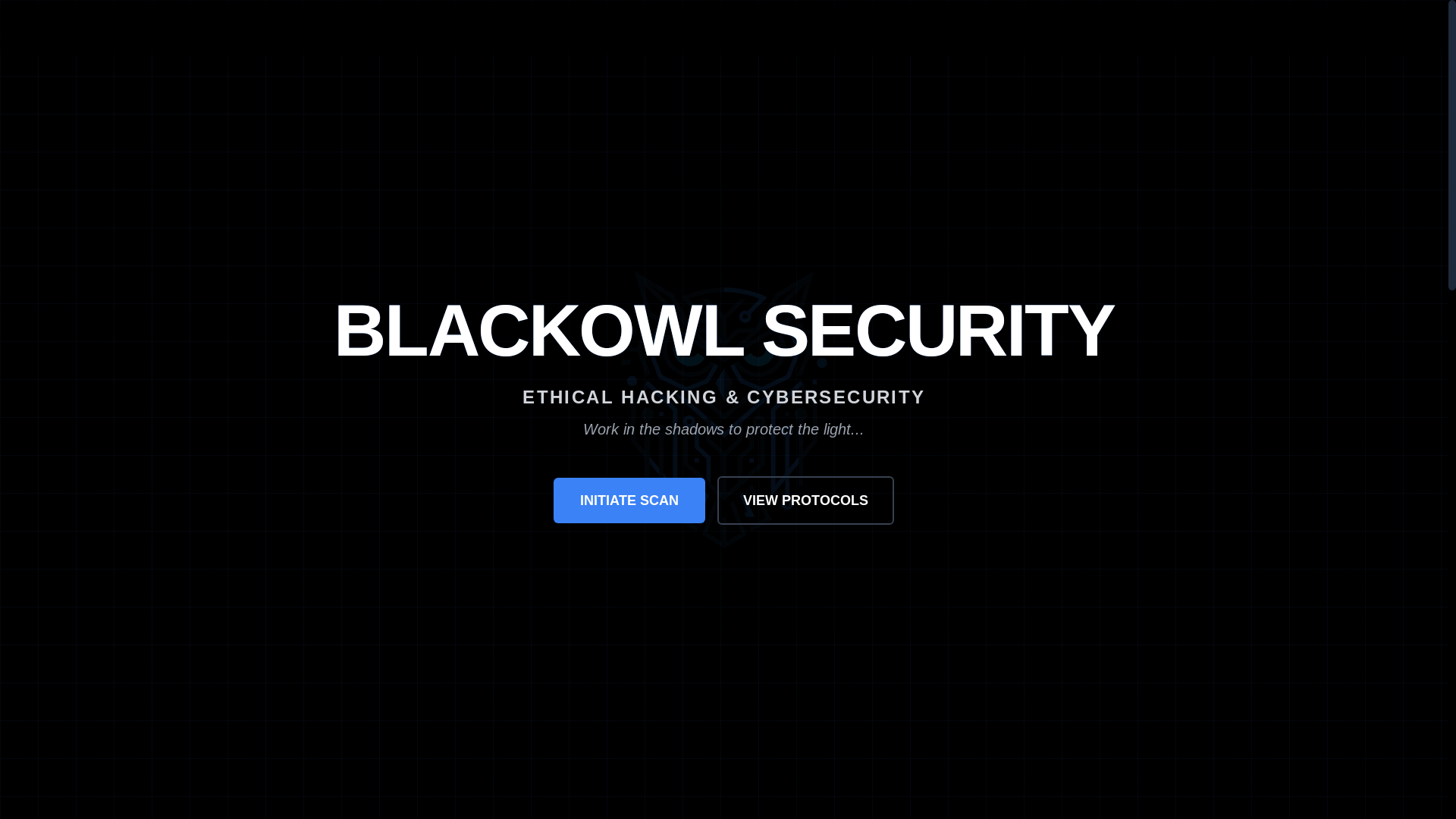 website screenshot of https://blackowlsecurity.pages.dev/