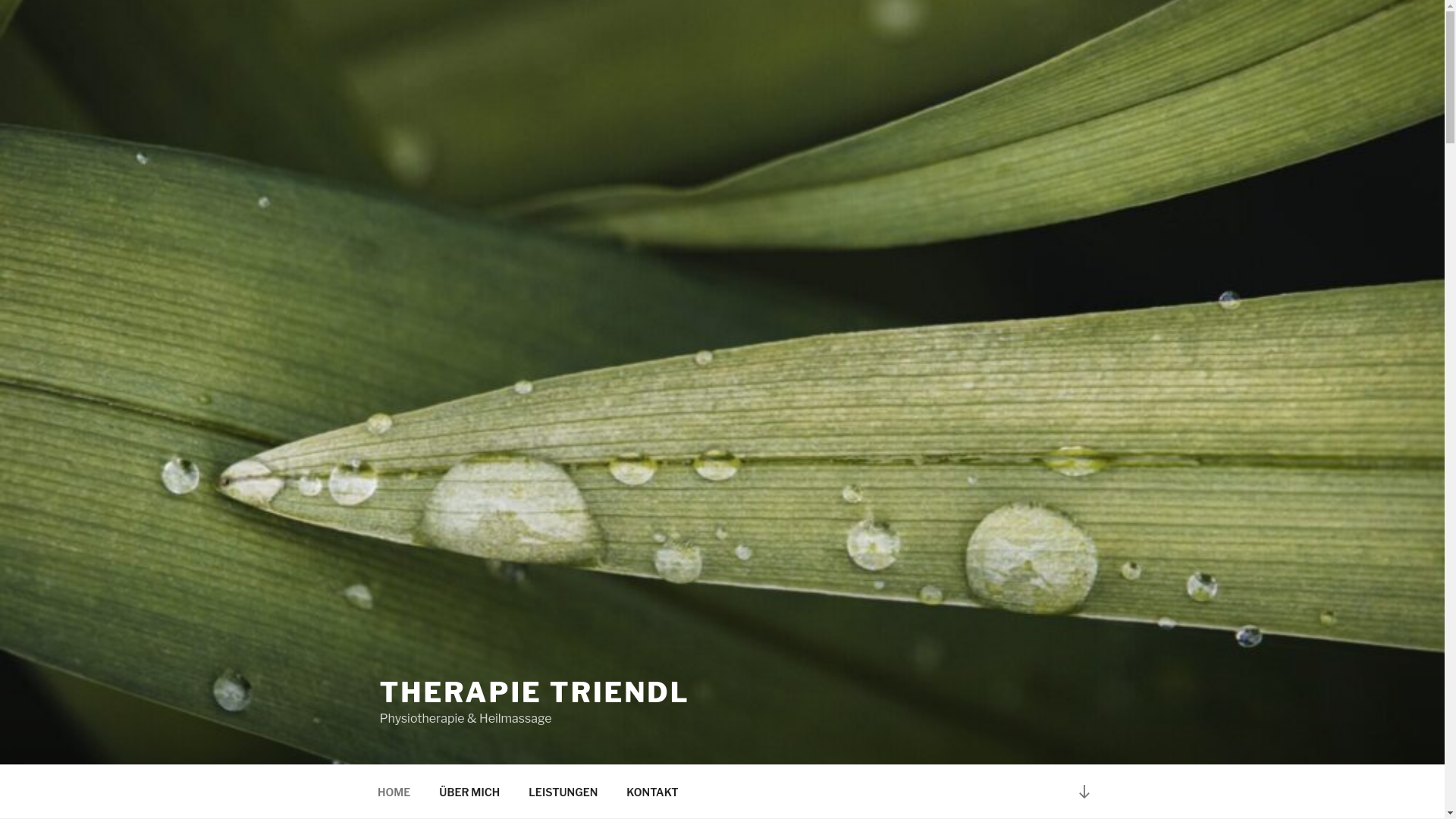 website screenshot of https://therapie-triendl.at/