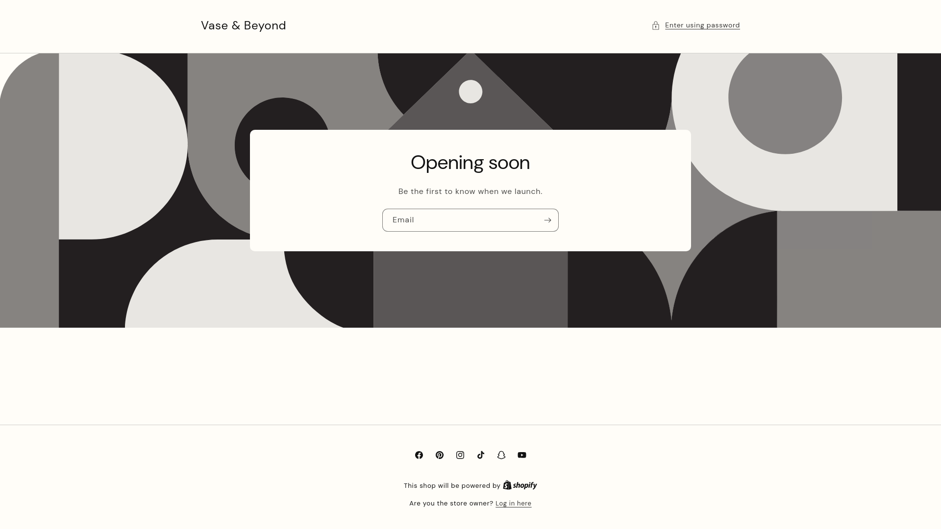 website screenshot of https://vasebeyond.de/