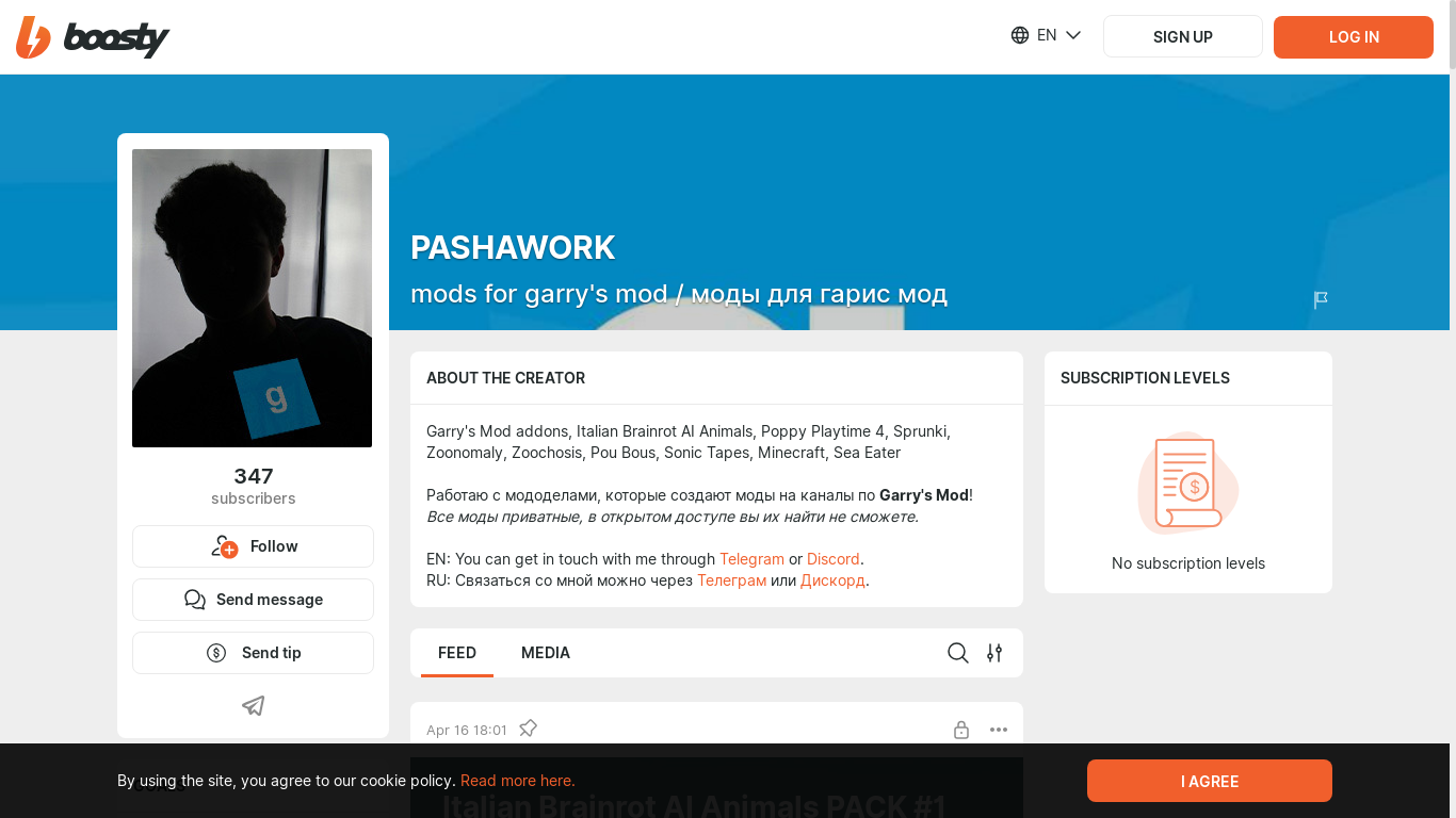 website screenshot of https://boosty.to/pashawork11