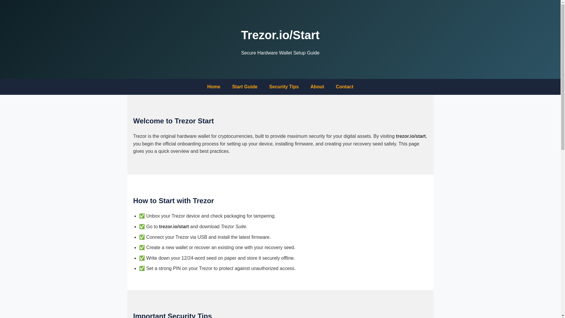 website screenshot of https://terzor-singin.pages.dev/