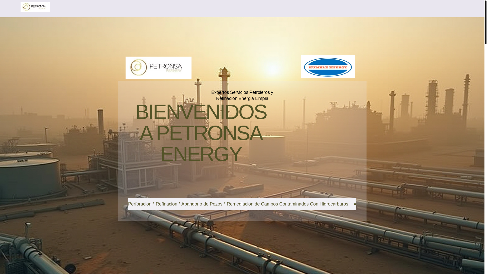 website screenshot of https://petronsaenergy.com/