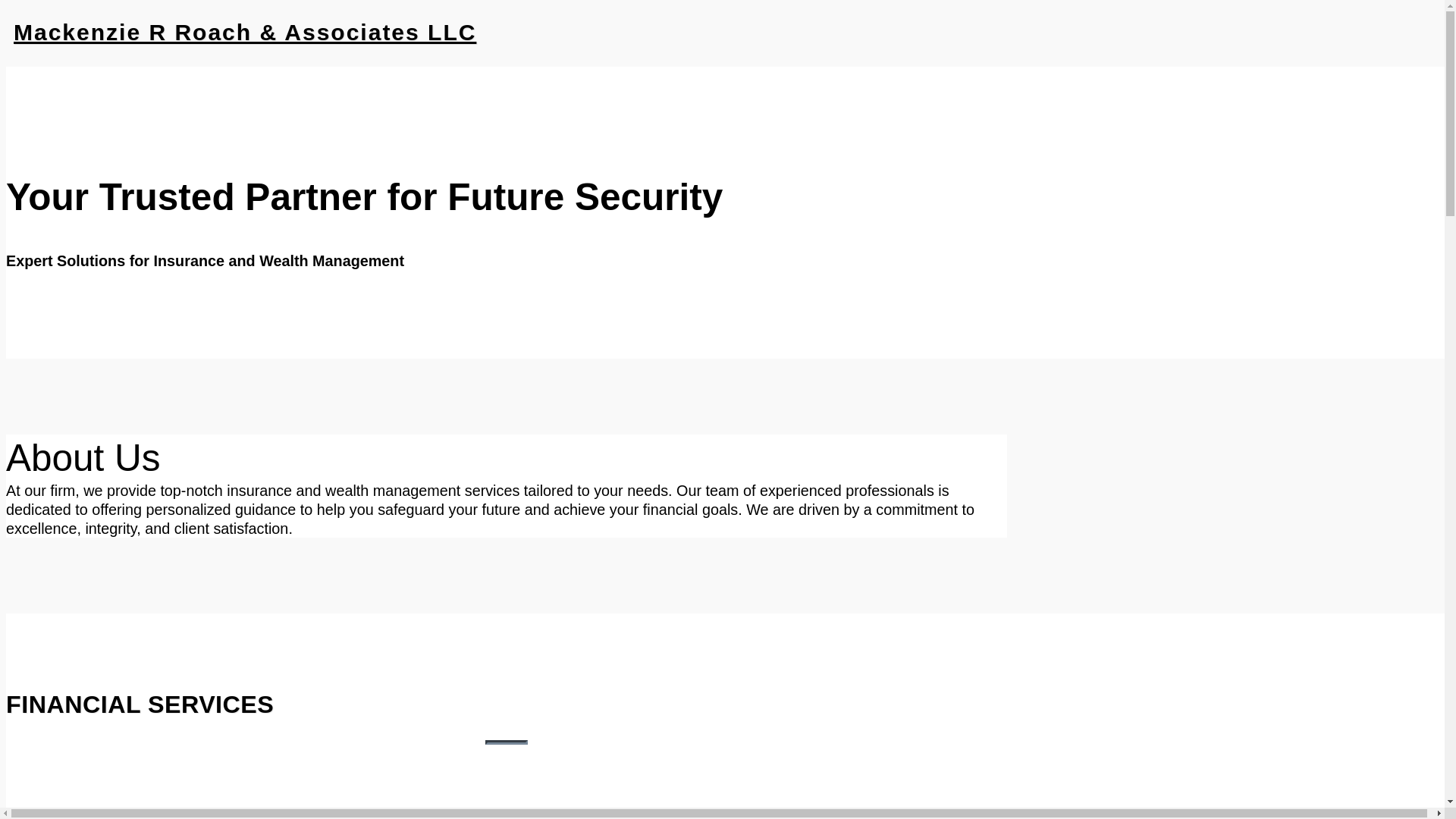 website screenshot of https://mackenzieroachassociates.com/