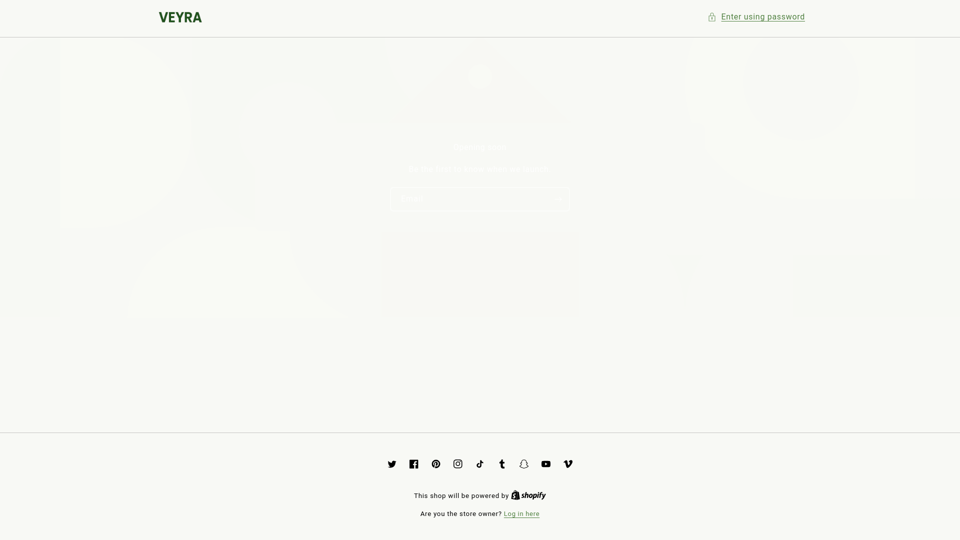 website screenshot of https://shopveyra.ca/