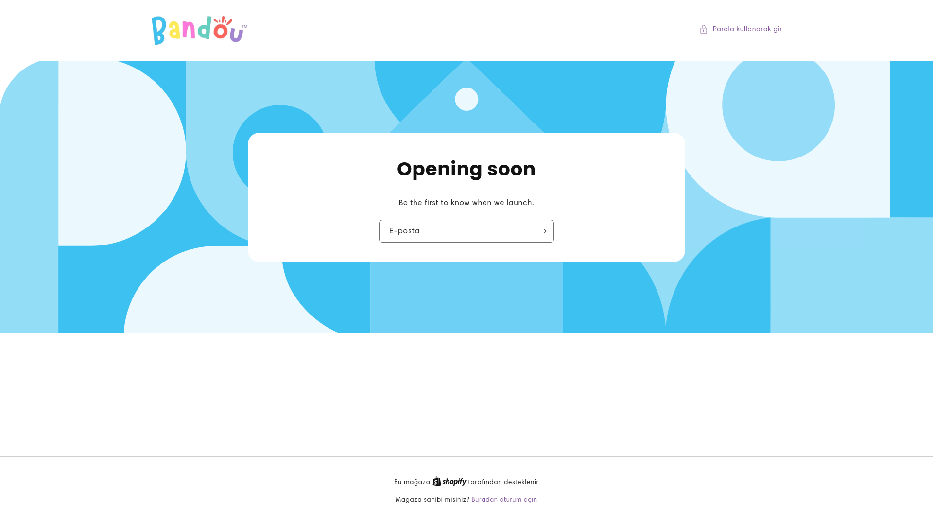 website screenshot of https://bandou.com.tr/