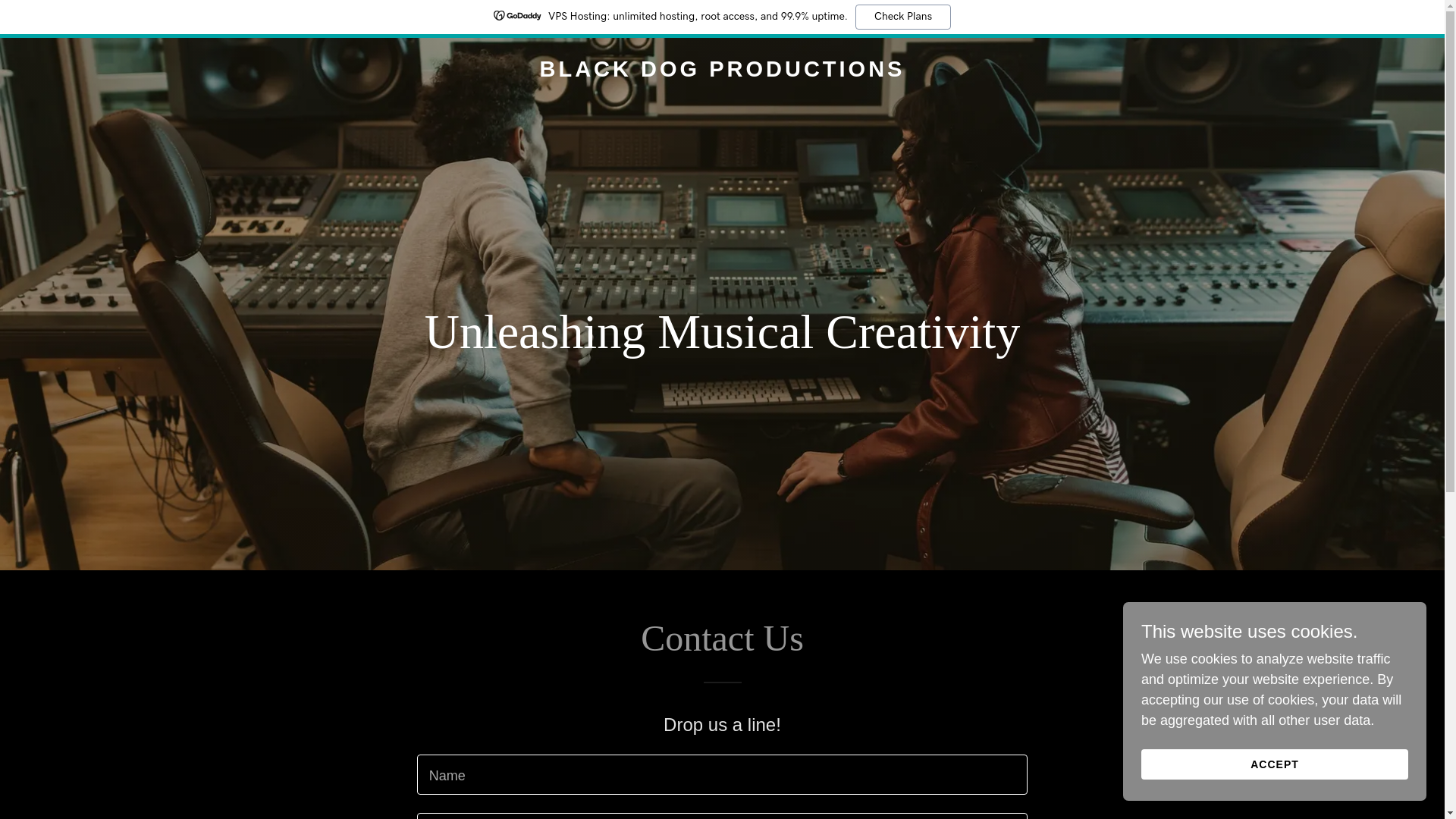 website screenshot of https://blackdogproductions.us/