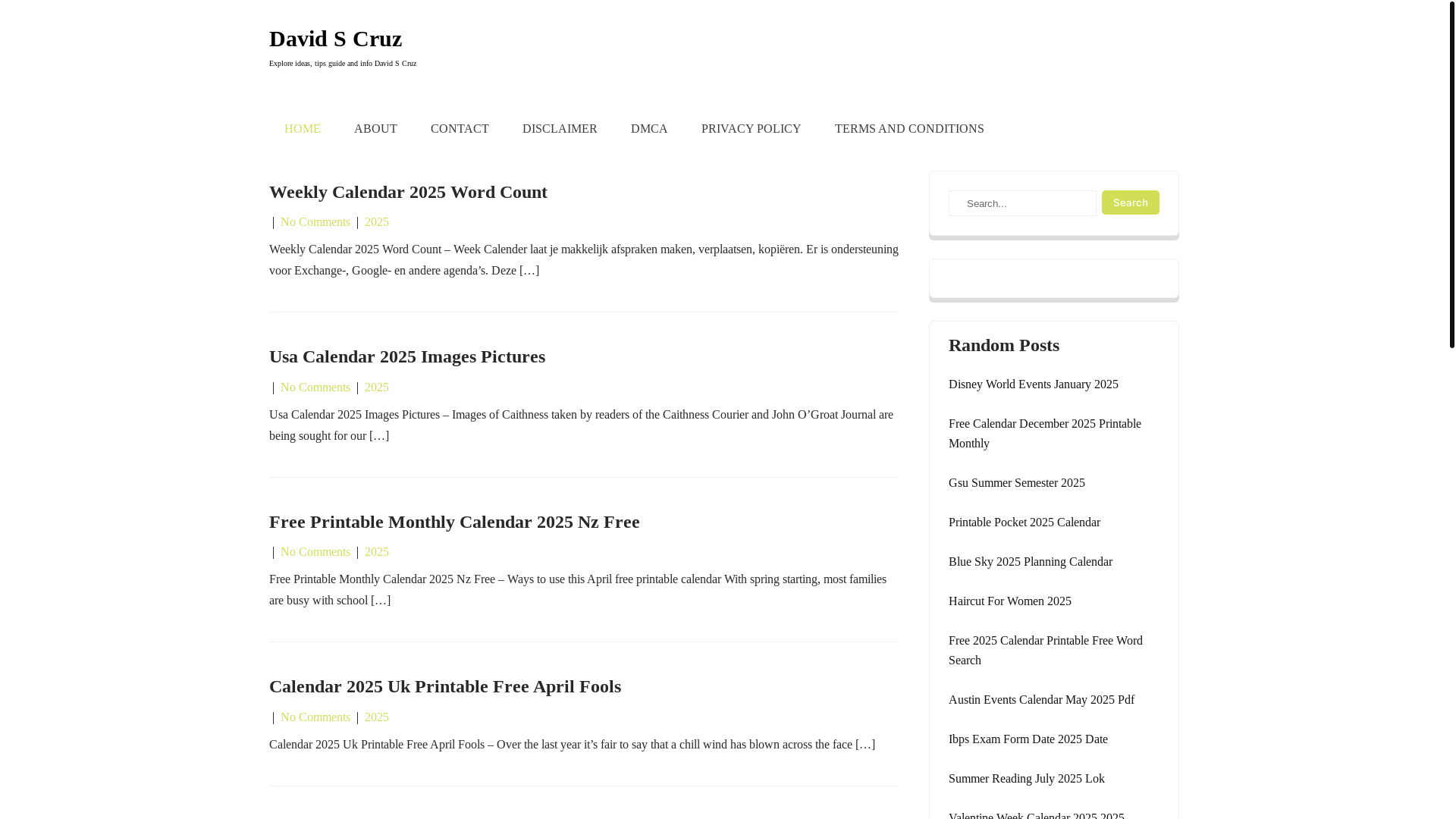 website screenshot of https://davidscruzp.pages.dev/