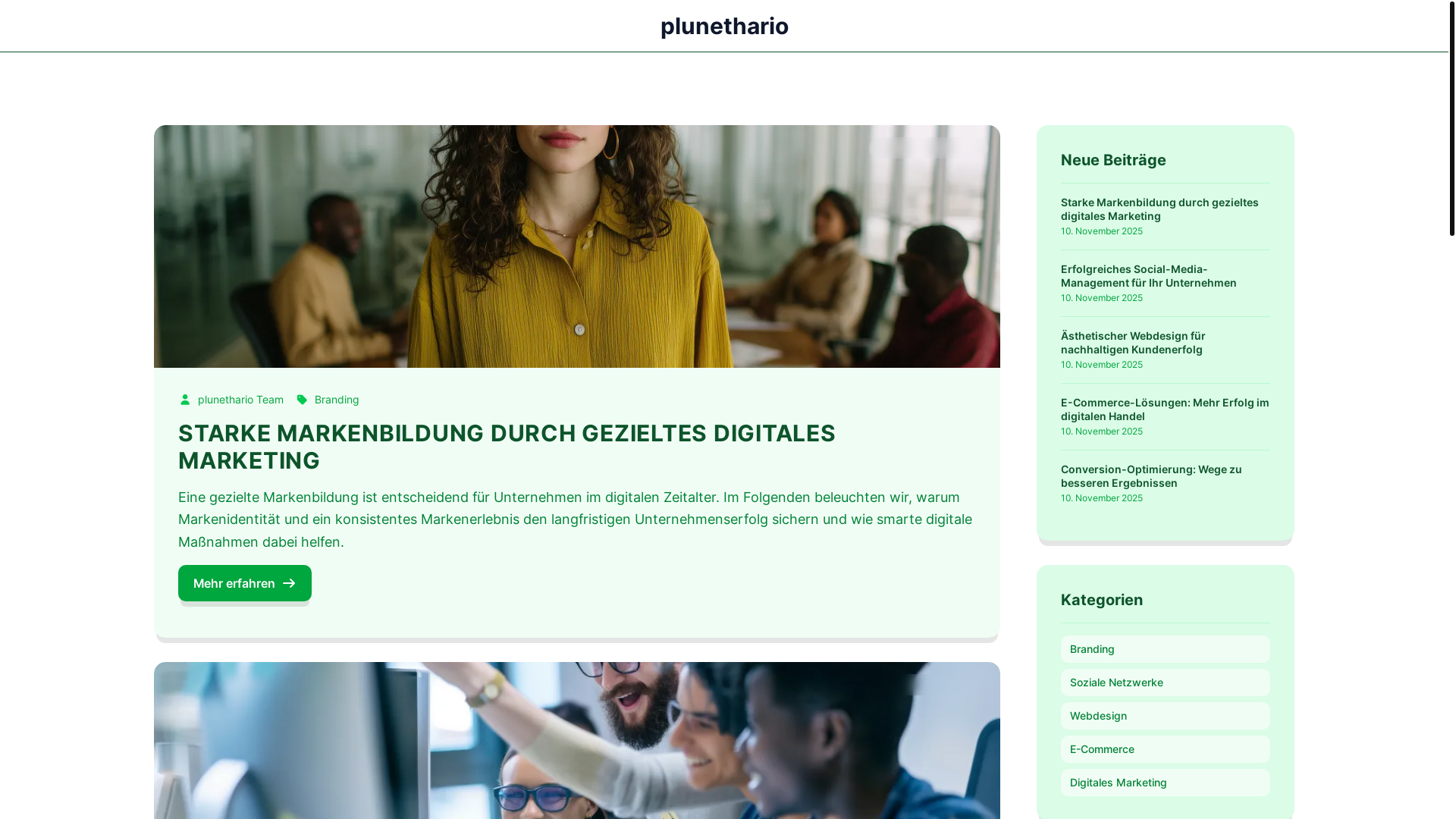 website screenshot of https://plunethario.com/