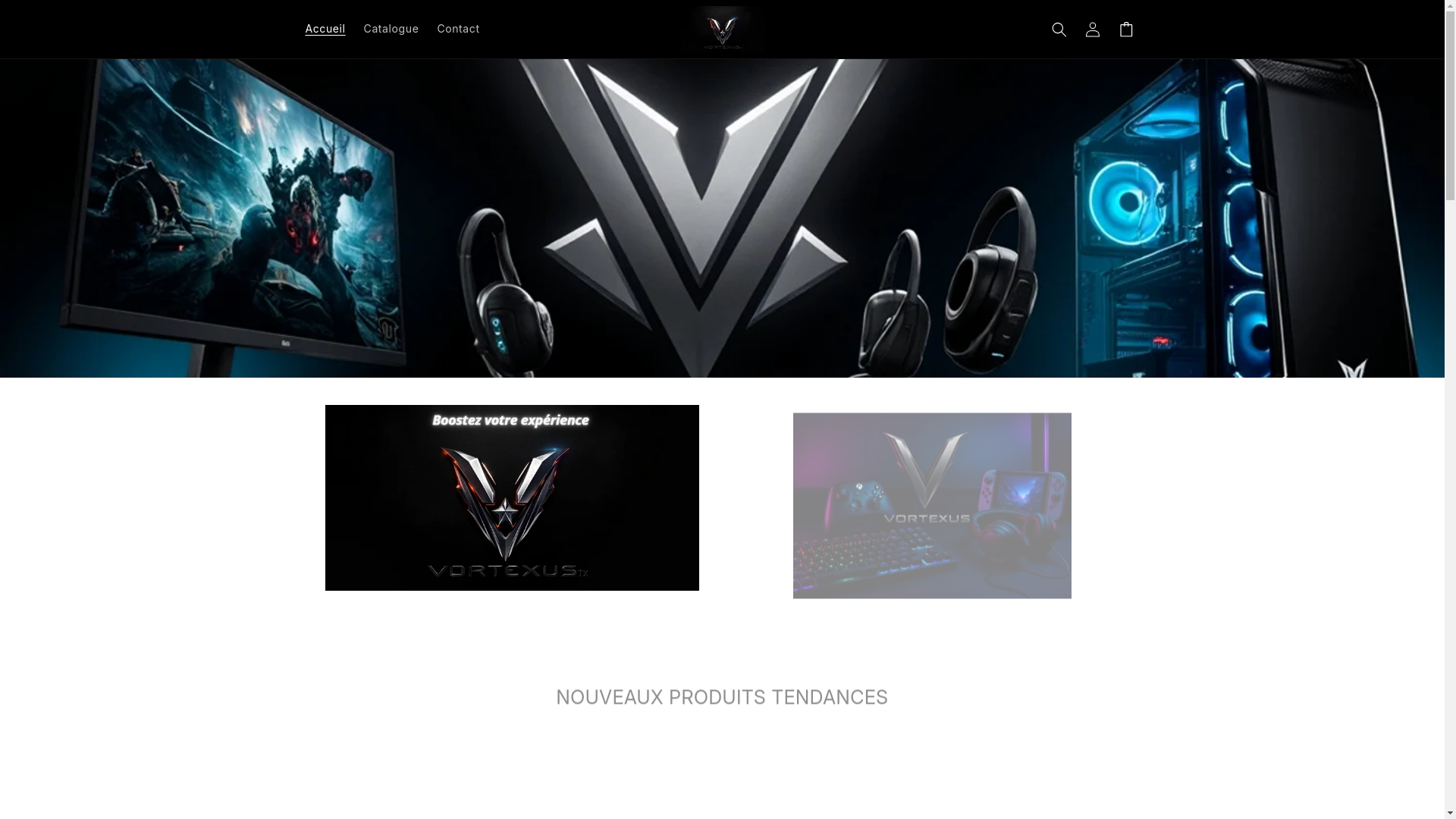 website screenshot of https://vortexus.fr/