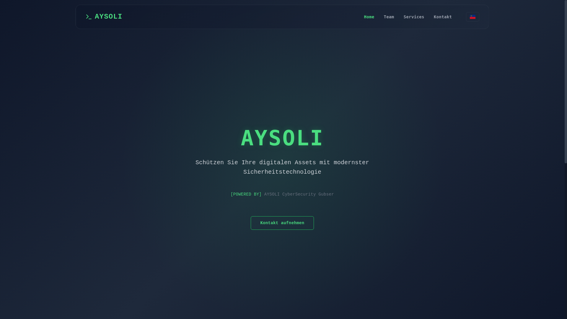 website screenshot of https://aysoli-website.pages.dev/