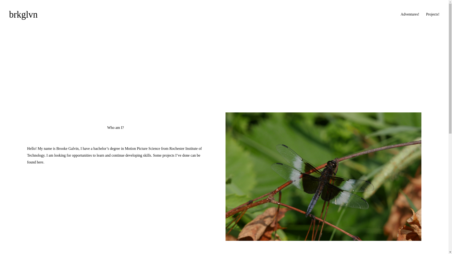 website screenshot of https://brkglvn.com/