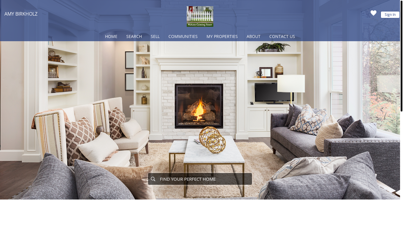 website screenshot of https://amybirkholzsellslincoln.com/