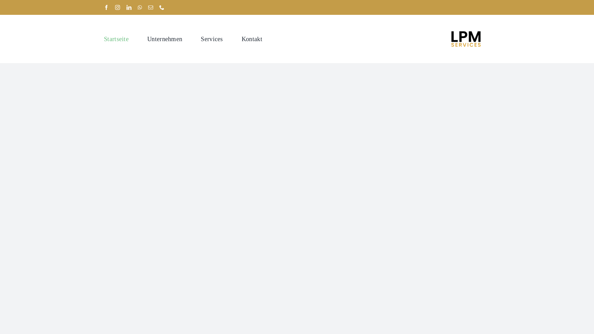 website screenshot of https://lpm-services.at/