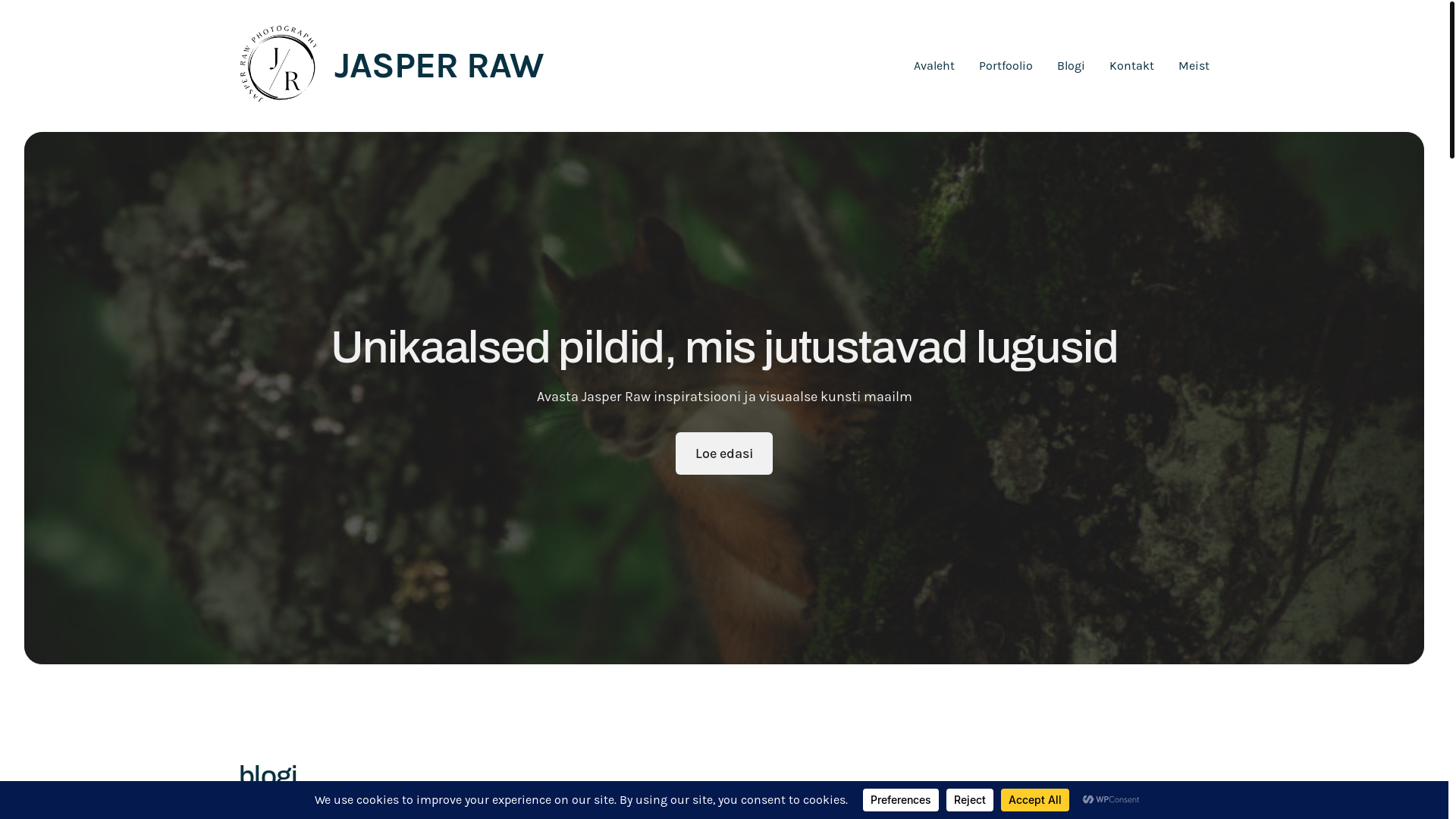 website screenshot of https://jasperraw.com/