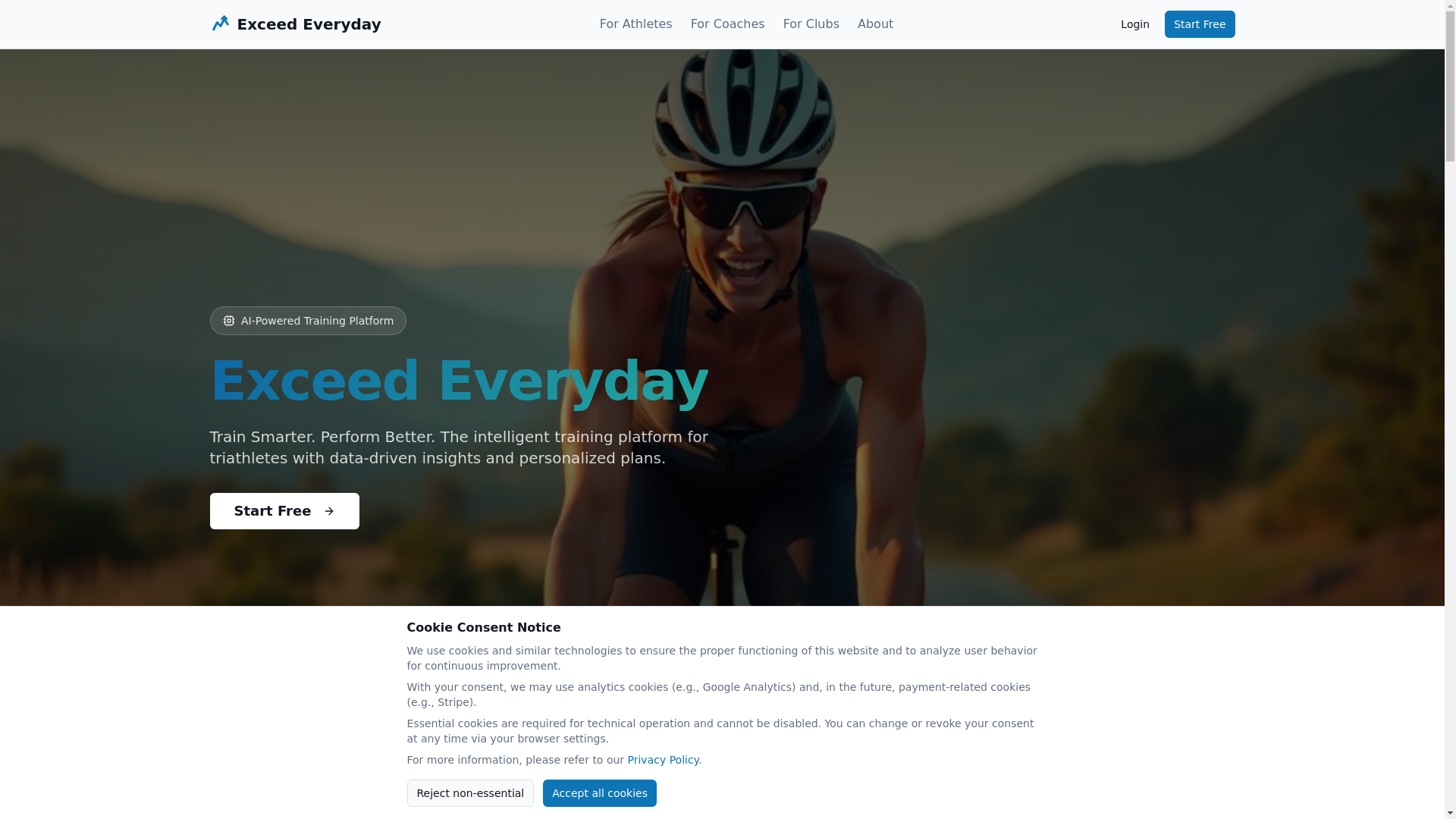 website screenshot of https://rinjehaun.com/