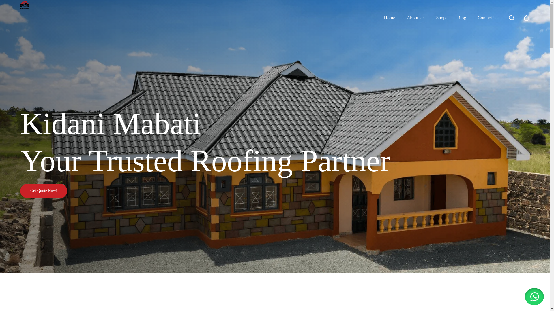 website screenshot of https://kidani.me/