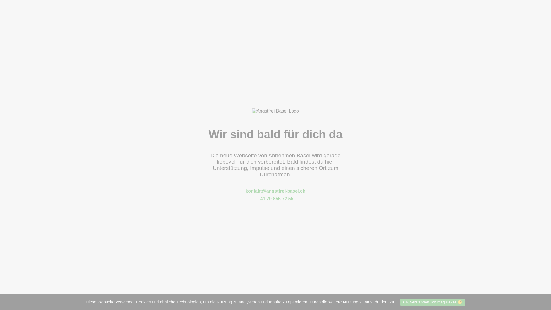 website screenshot of https://abnehmen-basel.ch/