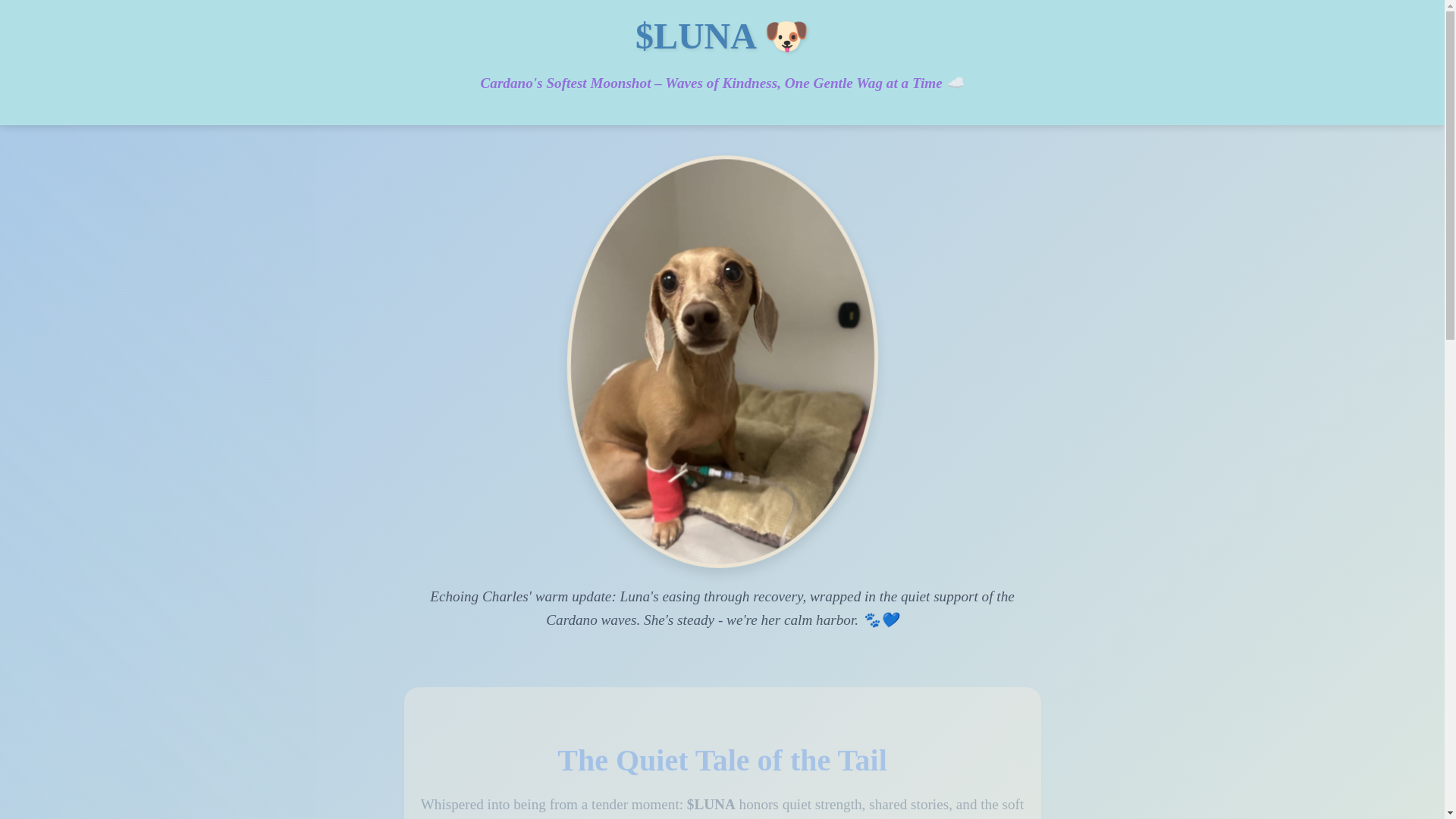 website screenshot of https://lunapupada.com/