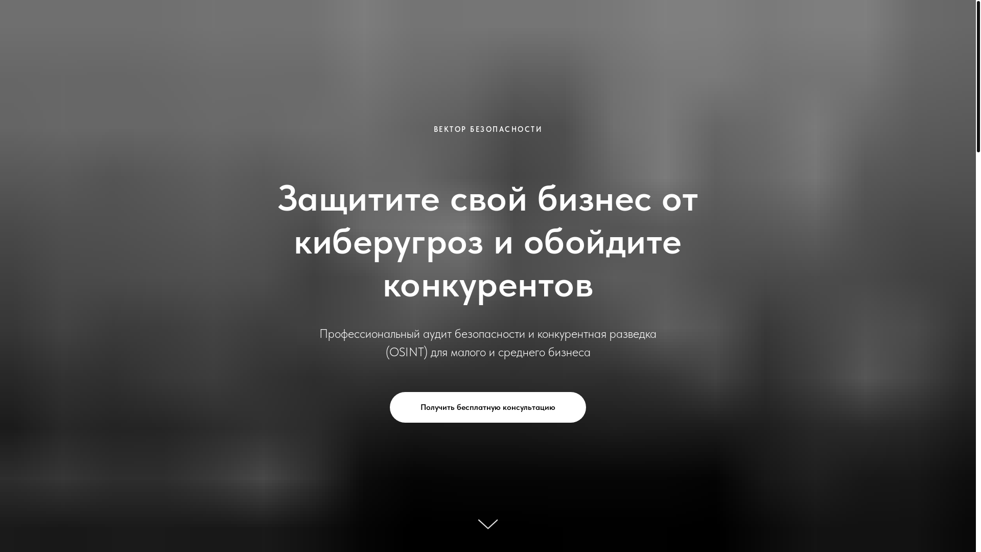 website screenshot of https://secvector.ru/