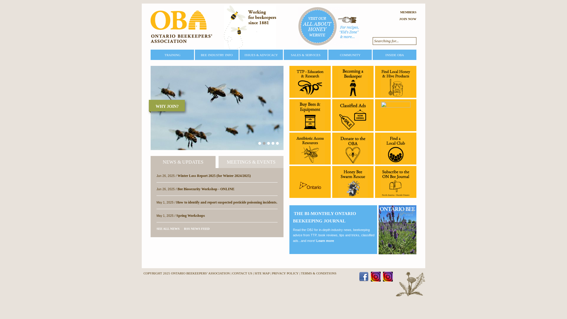 website screenshot of https://www.ontariobee.com/